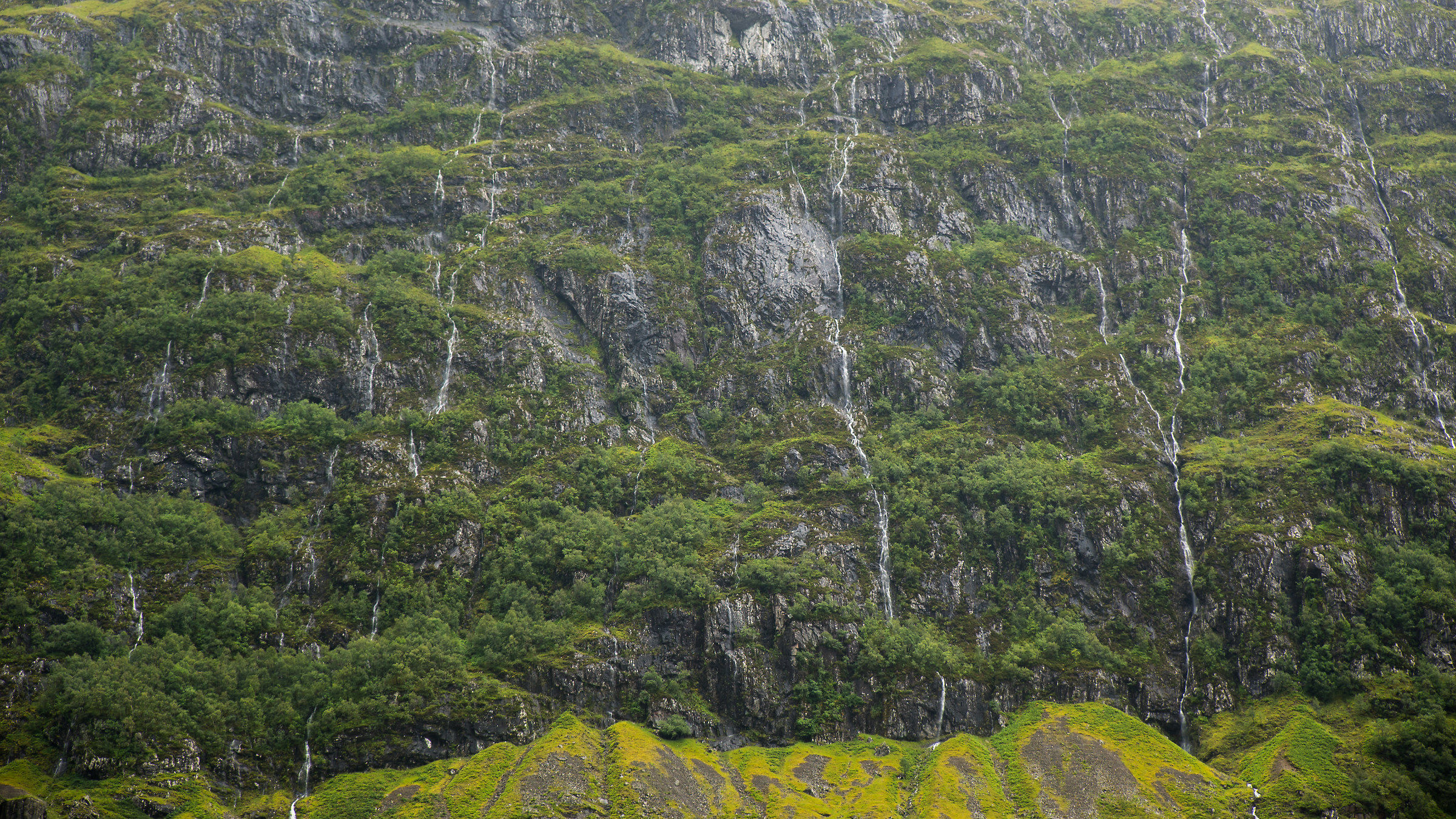 rock, water and life