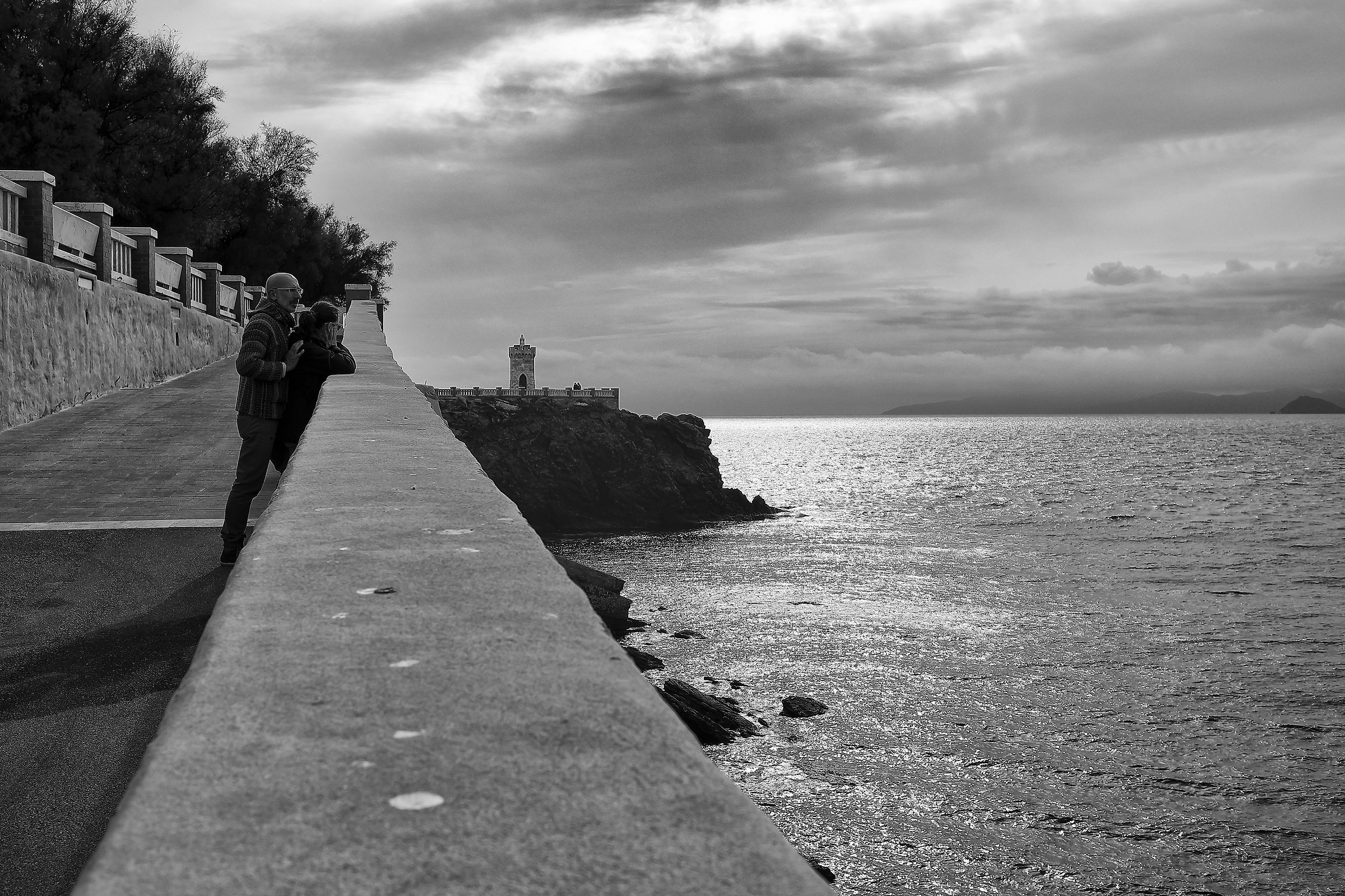 Admiring the Panorama