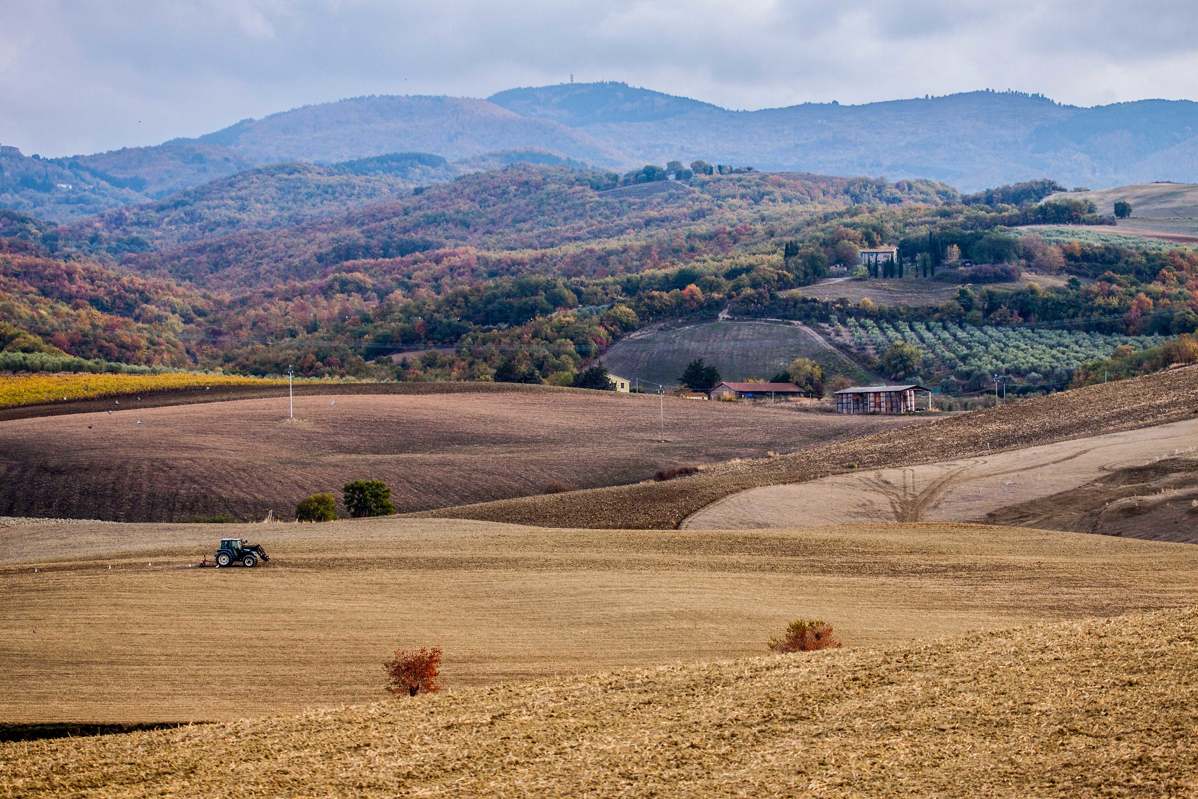 Autunno work in progress