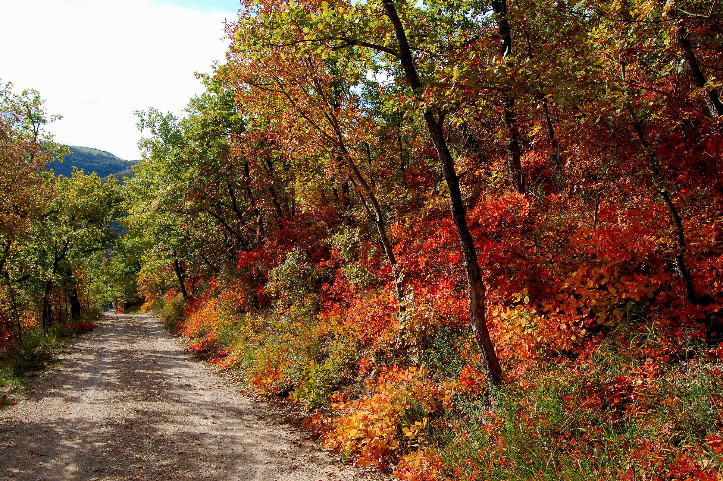 Fabriano (Marche): Autumn spell