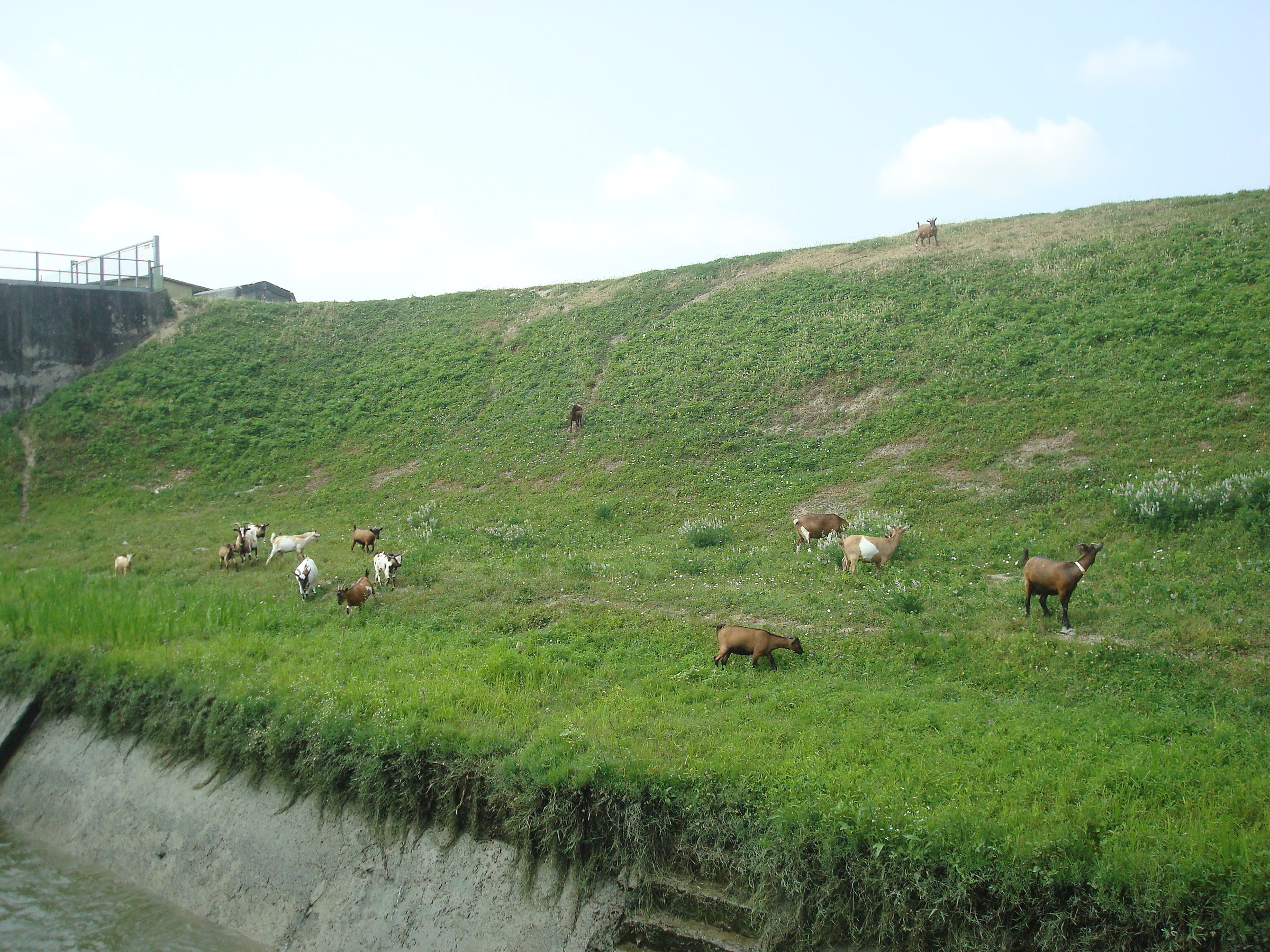 kids on the Po river