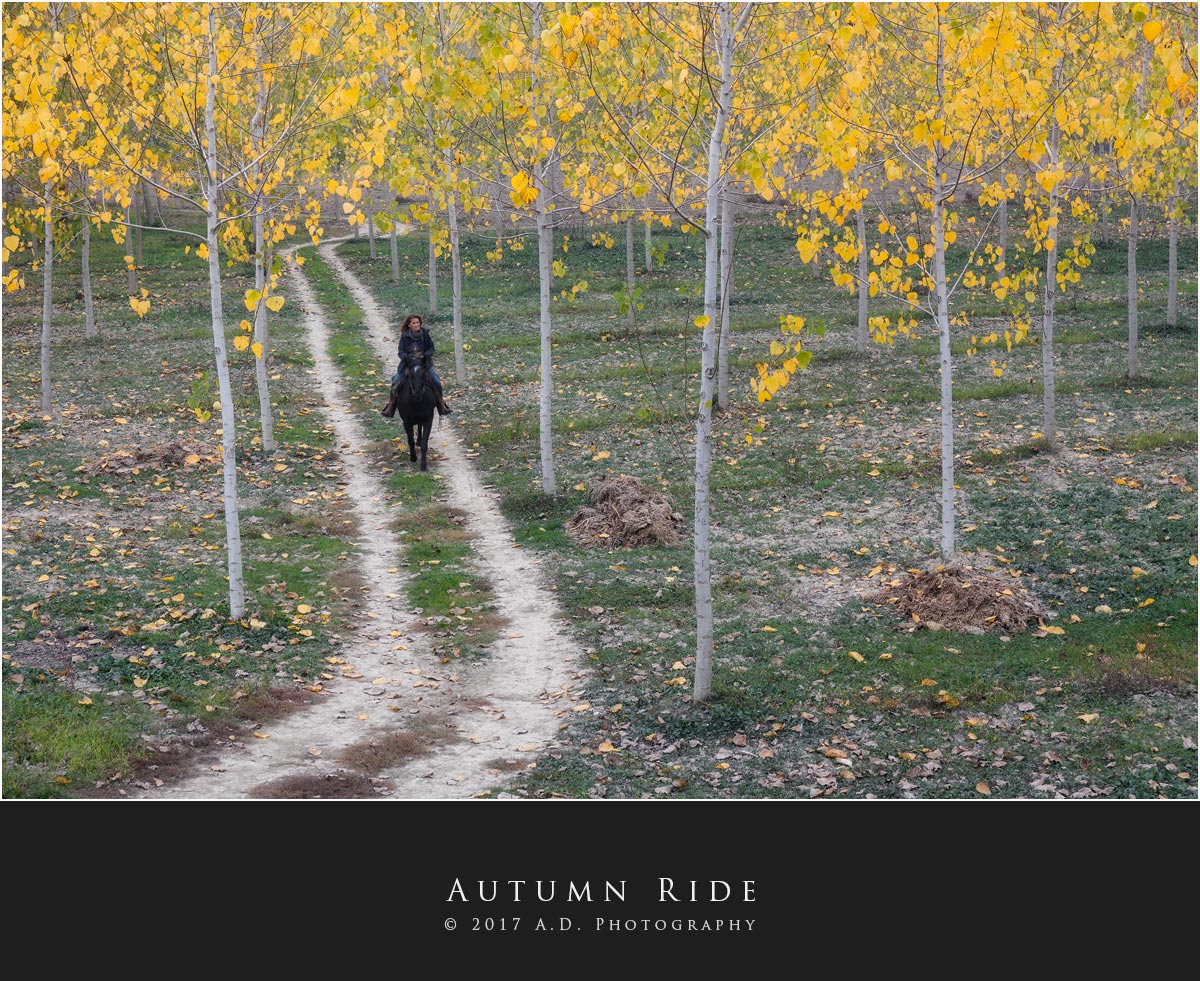 Autumn Ride
