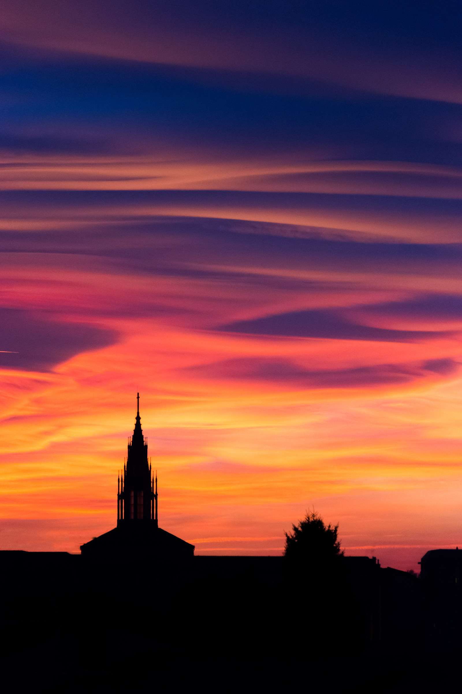 Cartolina dalla natura