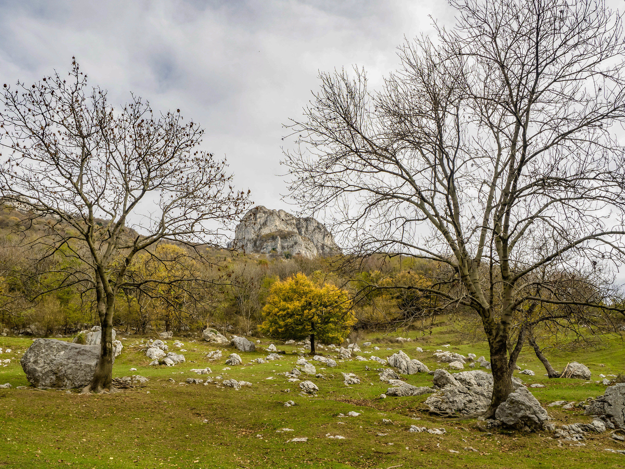 Autumn in the mountains