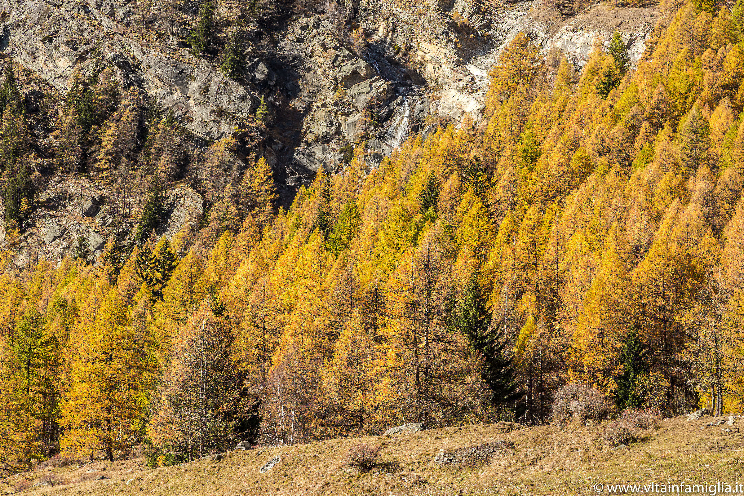 Autunno in valnontey