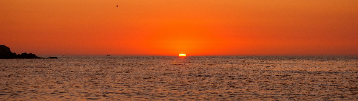 La solitudine del gabbiano..