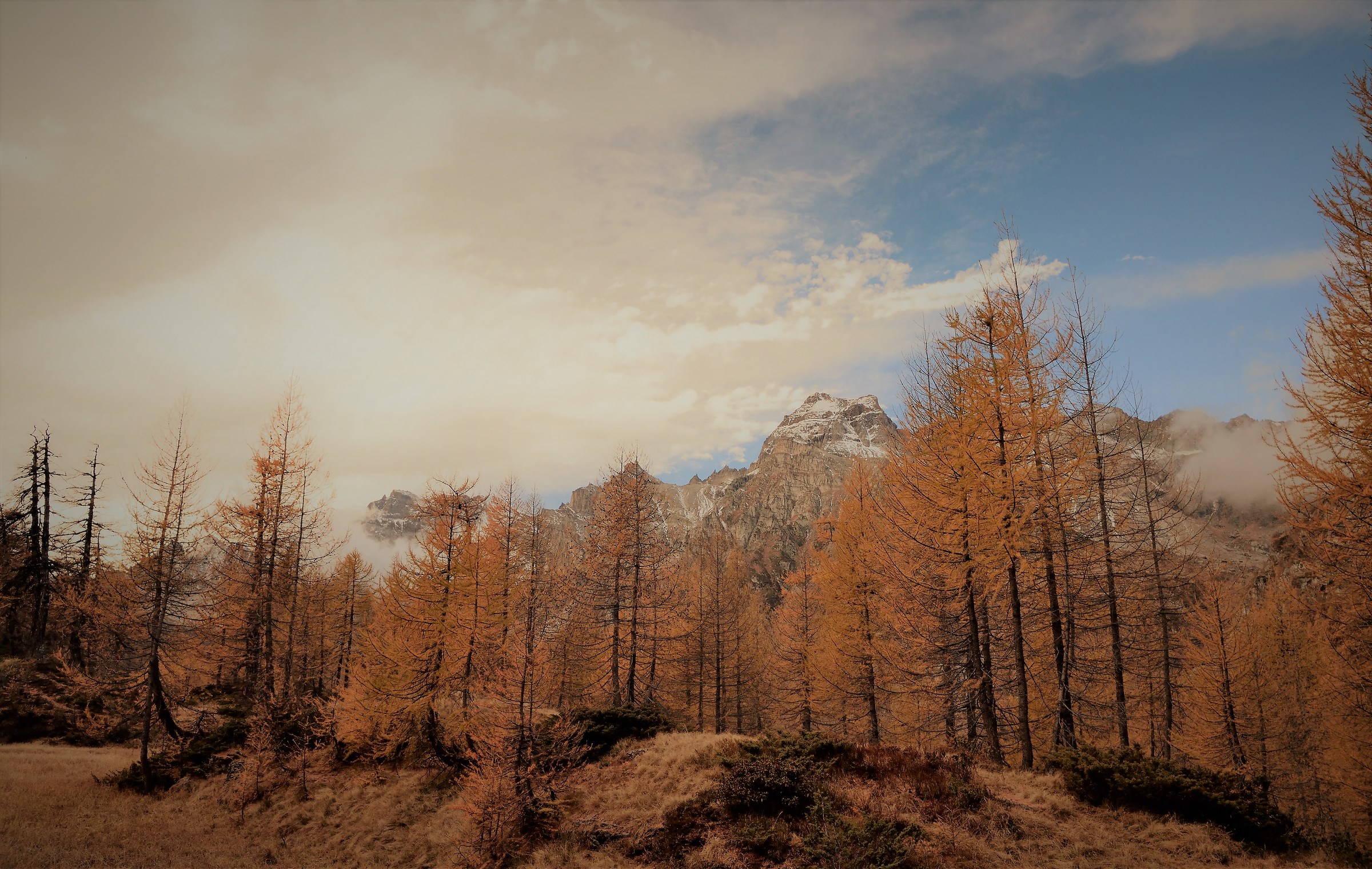 from the peat - Val Buscagna