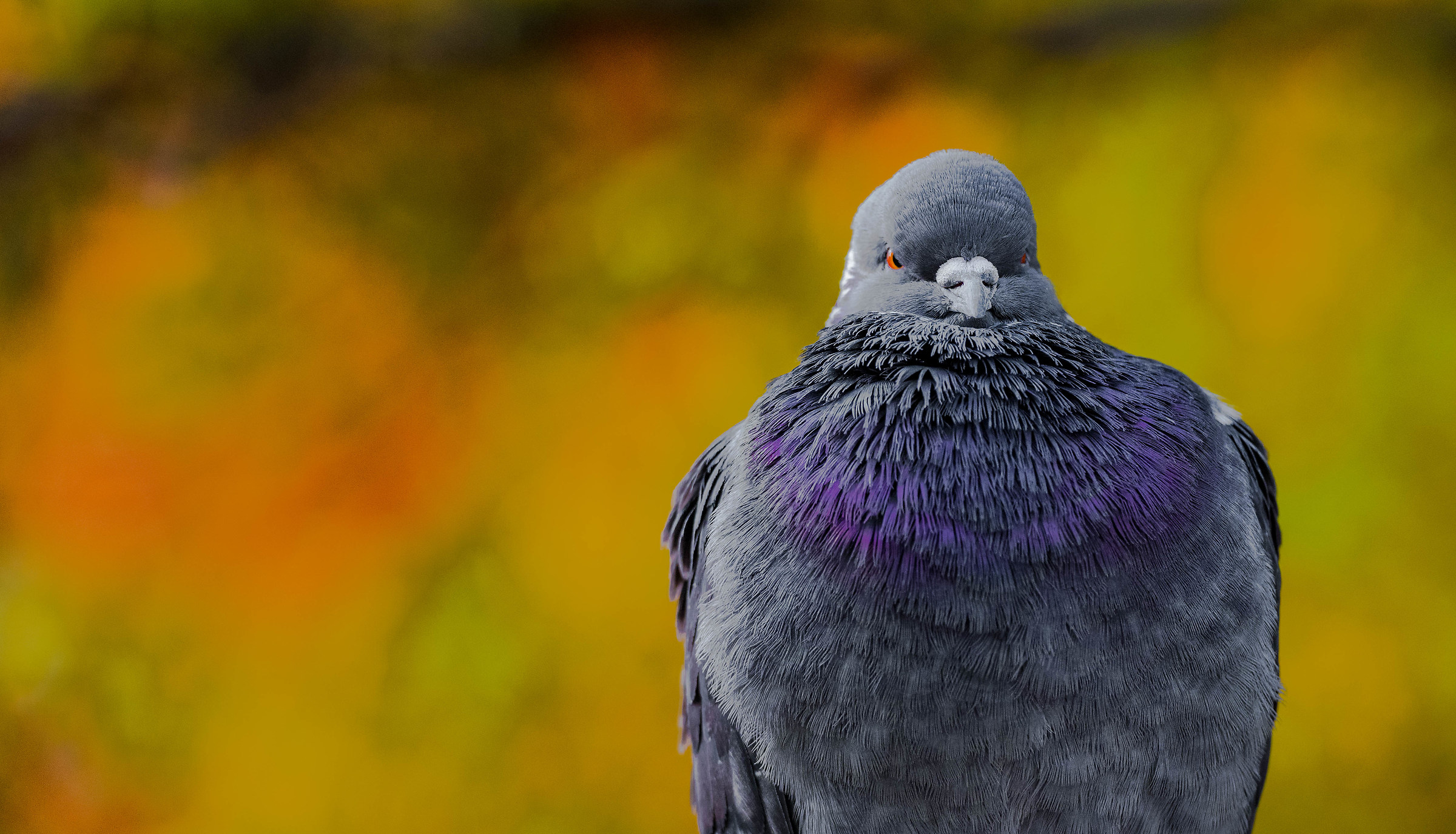 of a bad mood .......