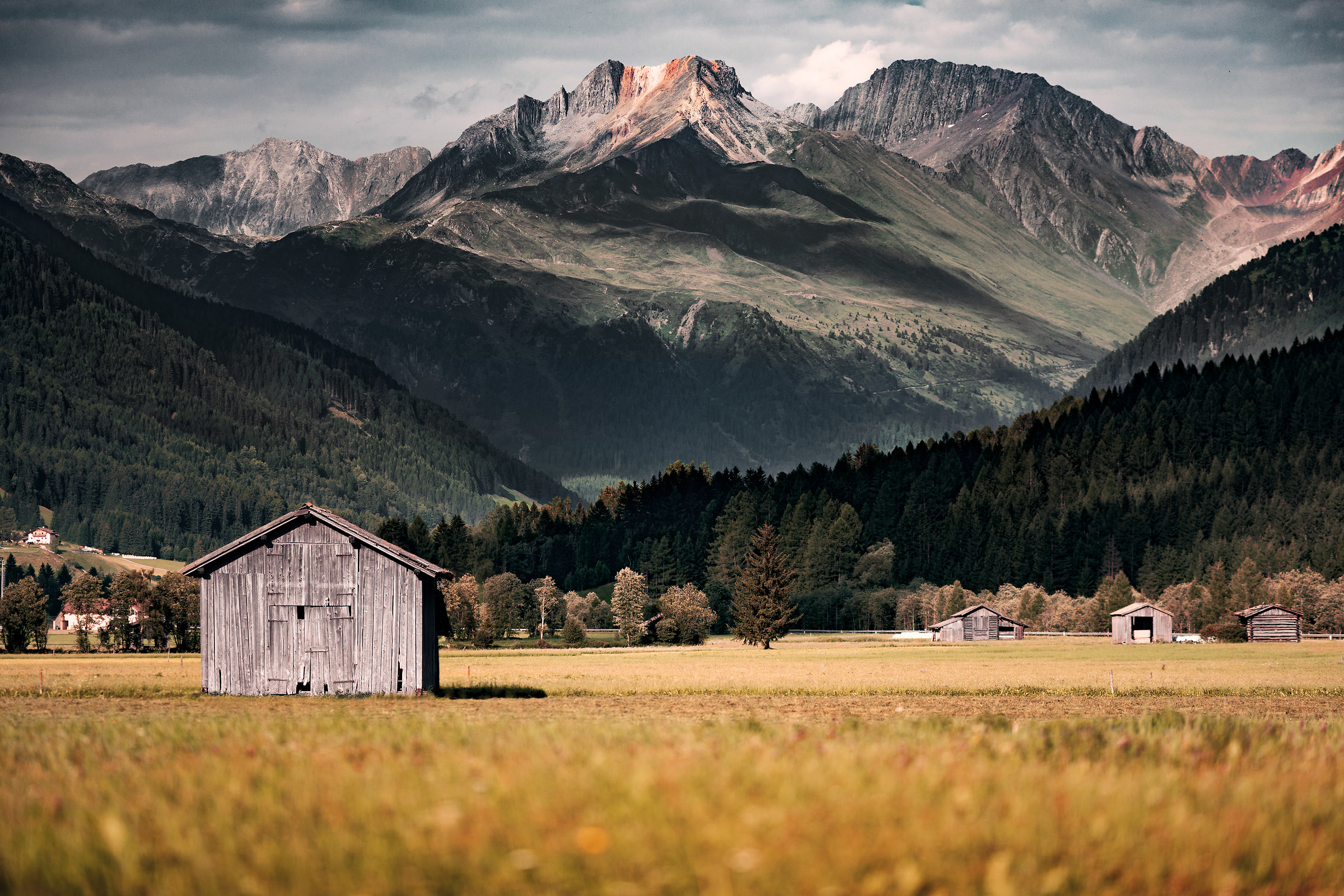 Quasi come nelle praterie