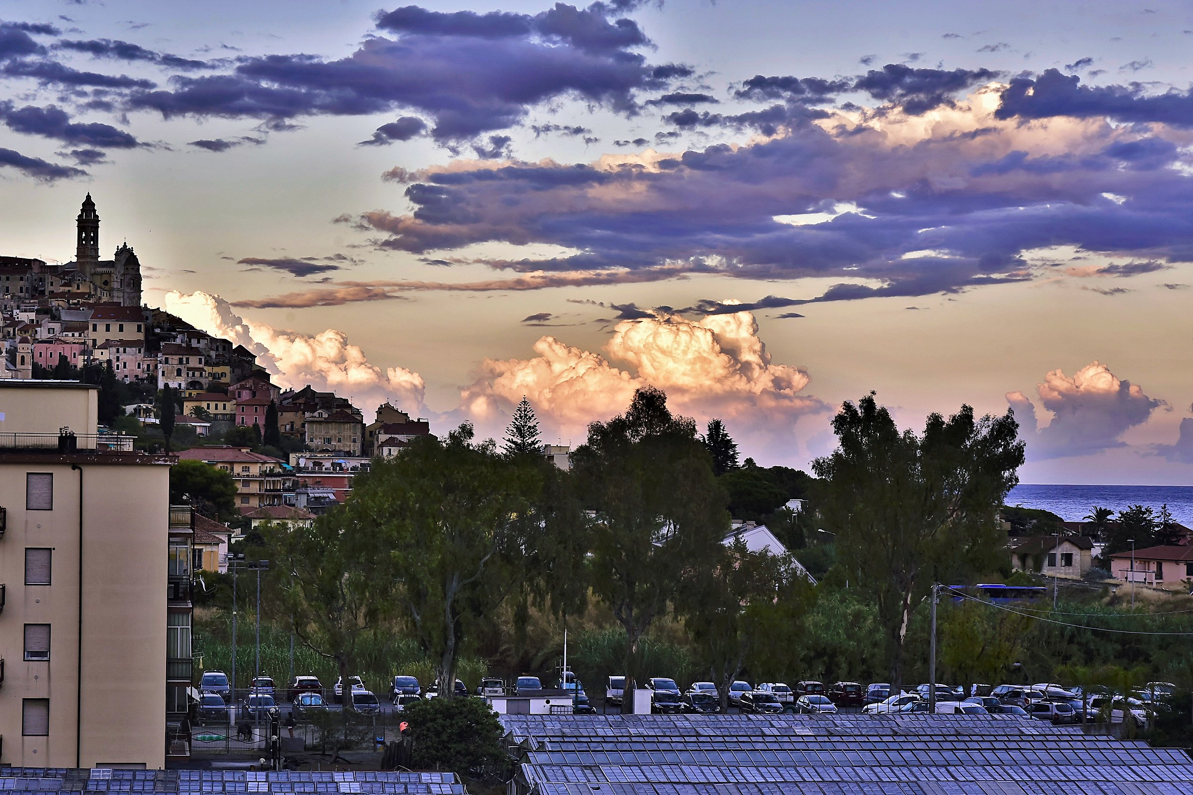 landscape deer province imperia
