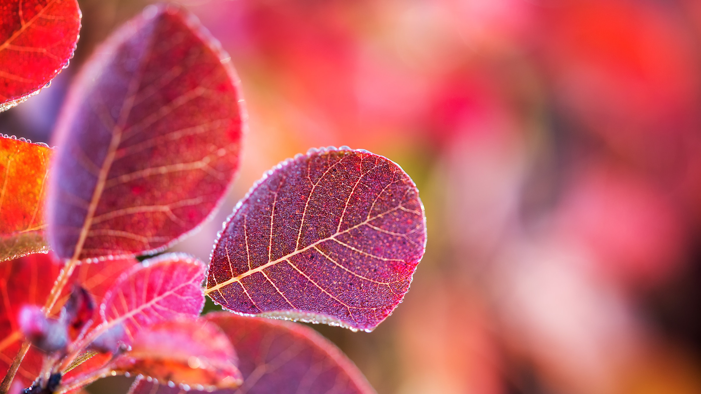 Arcobaleno autunnale
