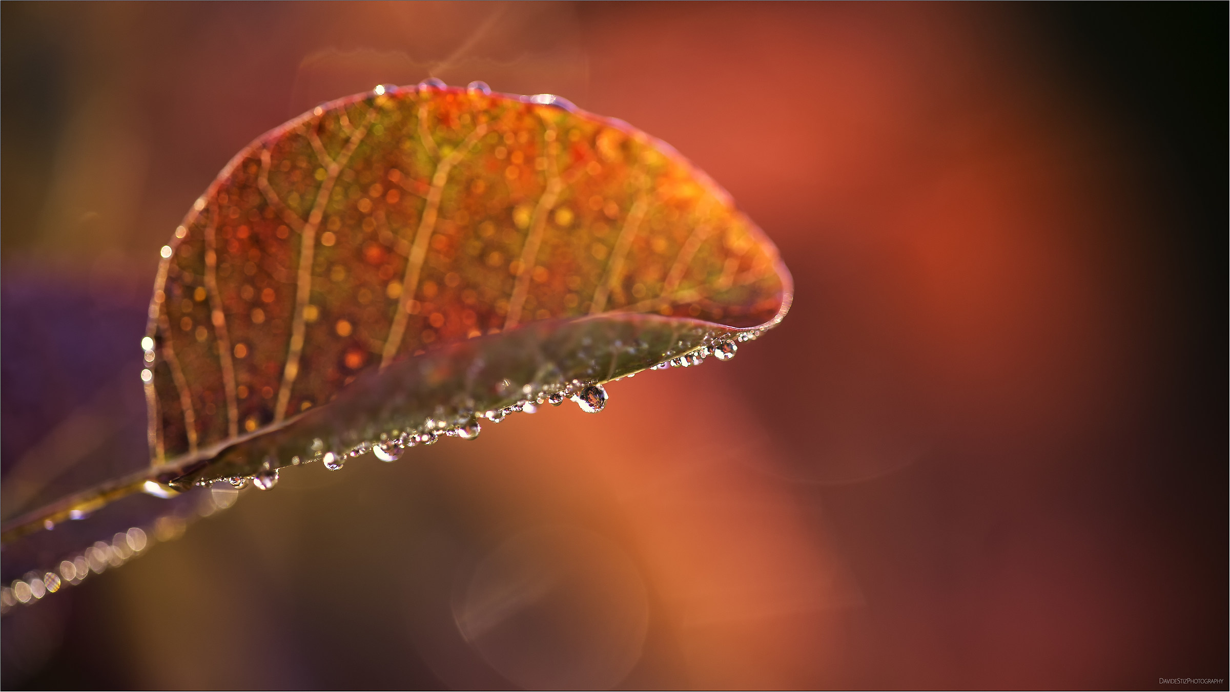 Arcobaleno autunnale
