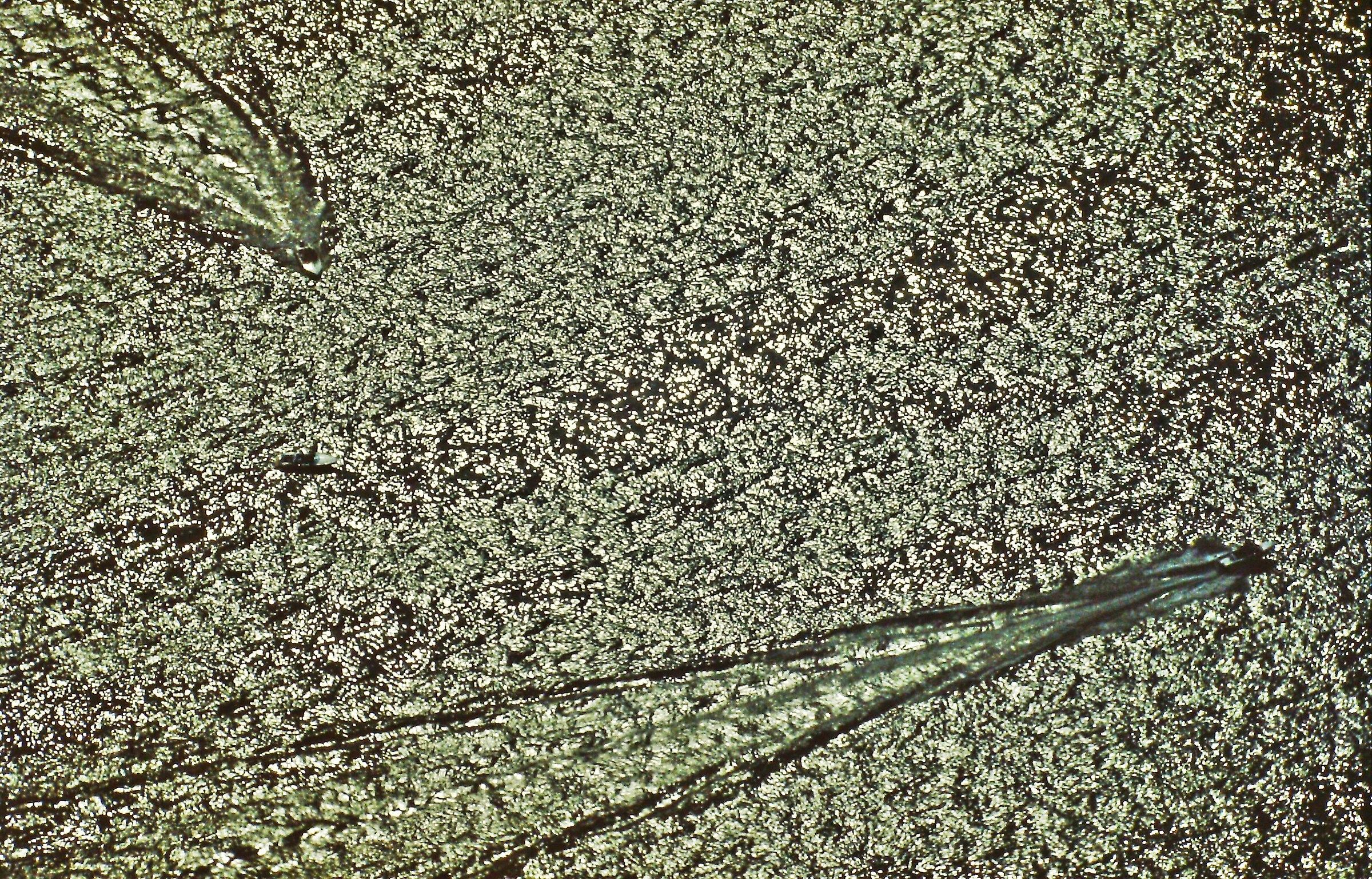 804 - navigate in foam paper - LC M.Coltignone