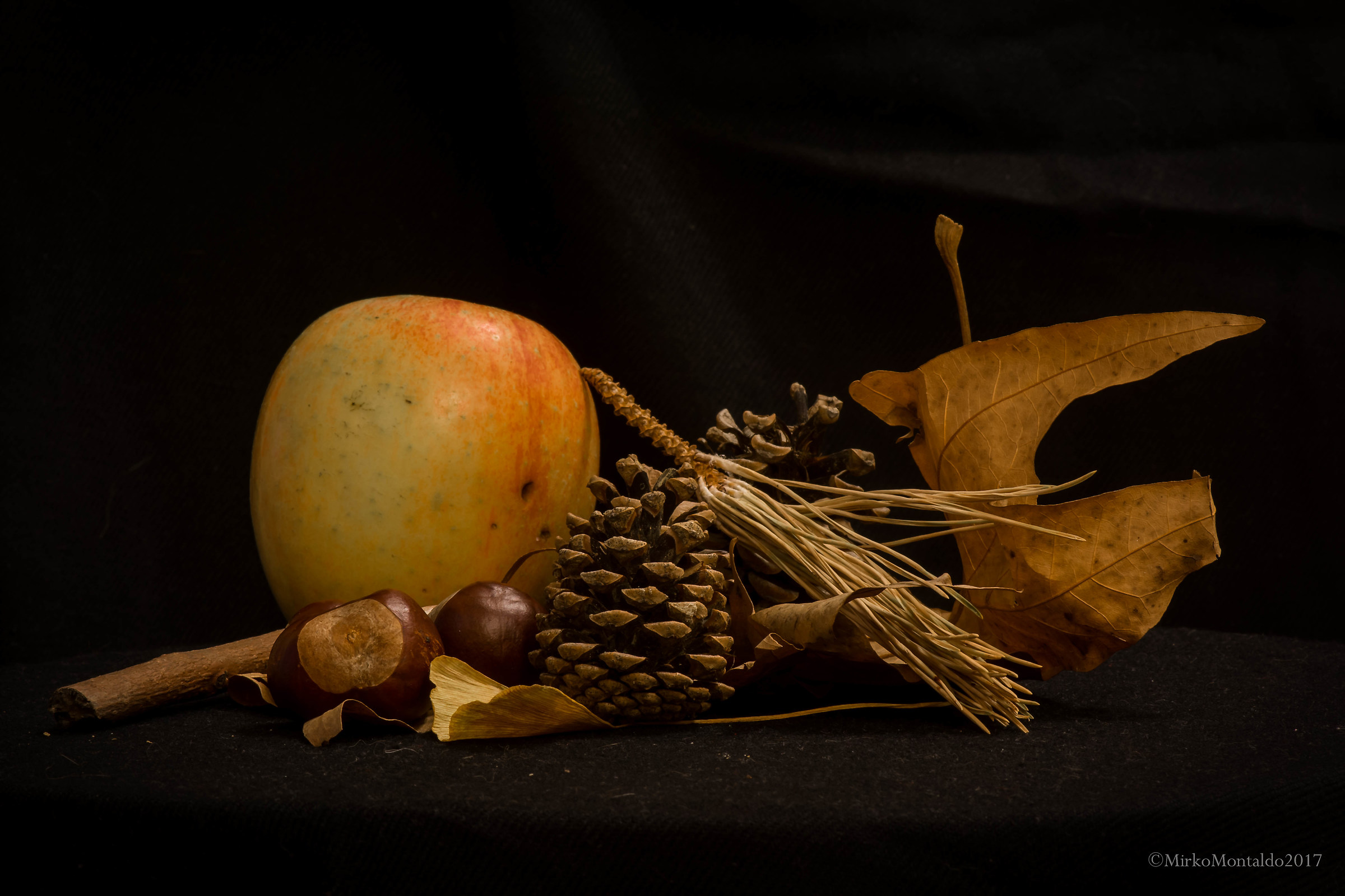 13 Seconds of Autumn