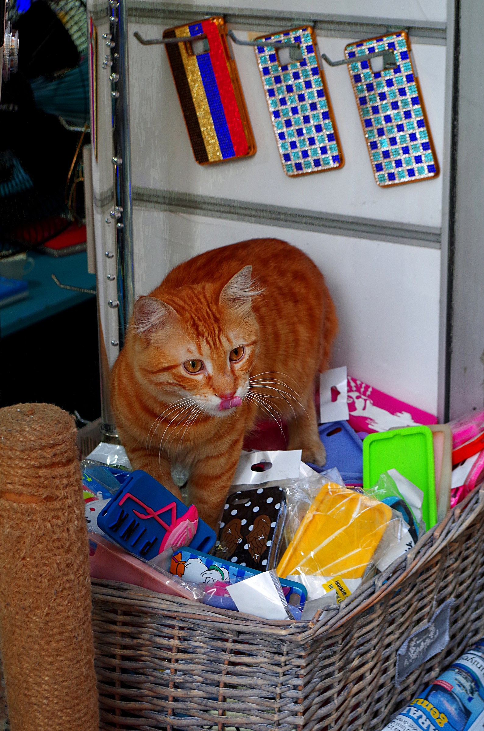 Walking through the merchandise