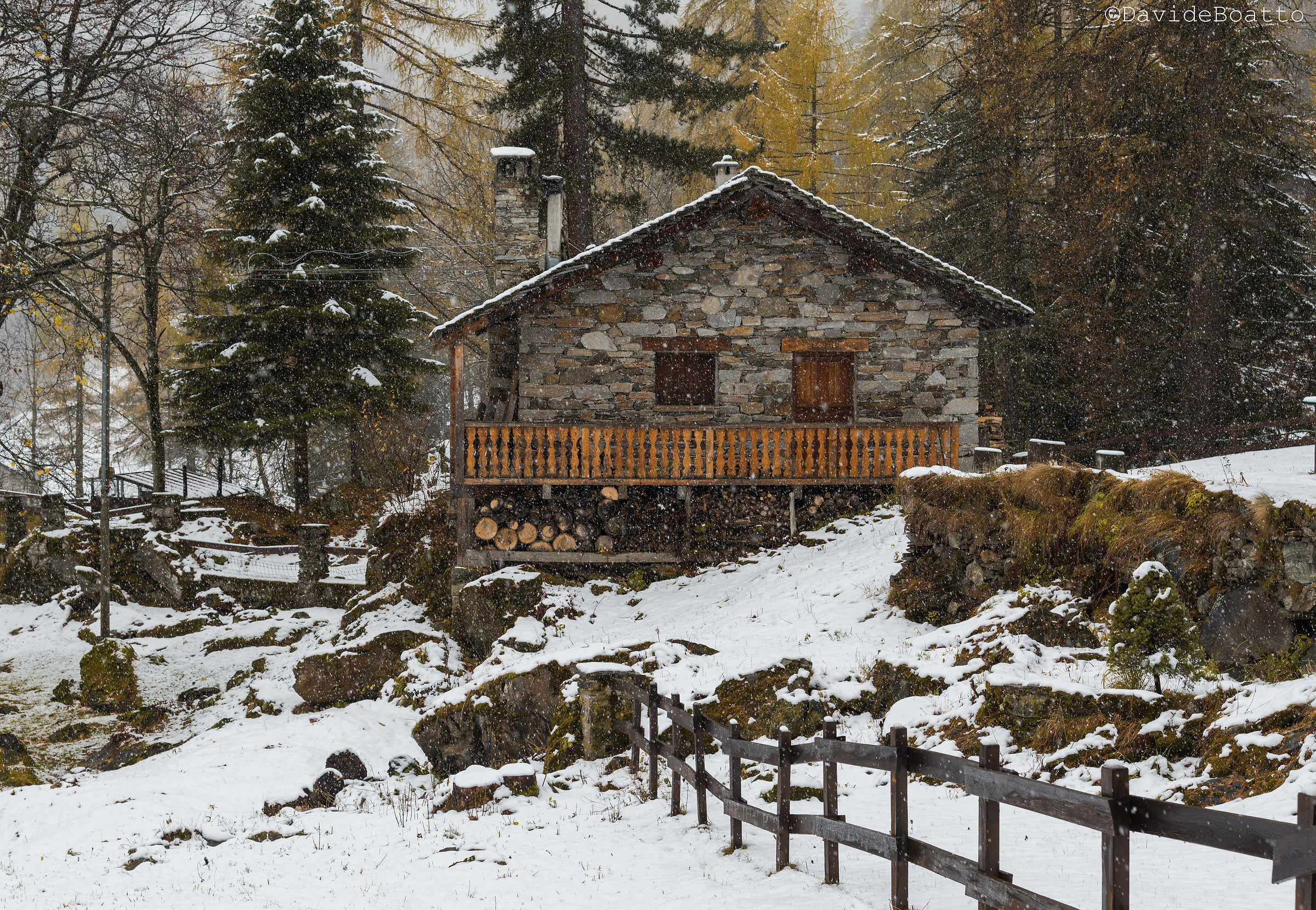 Finalmente è arrivata!