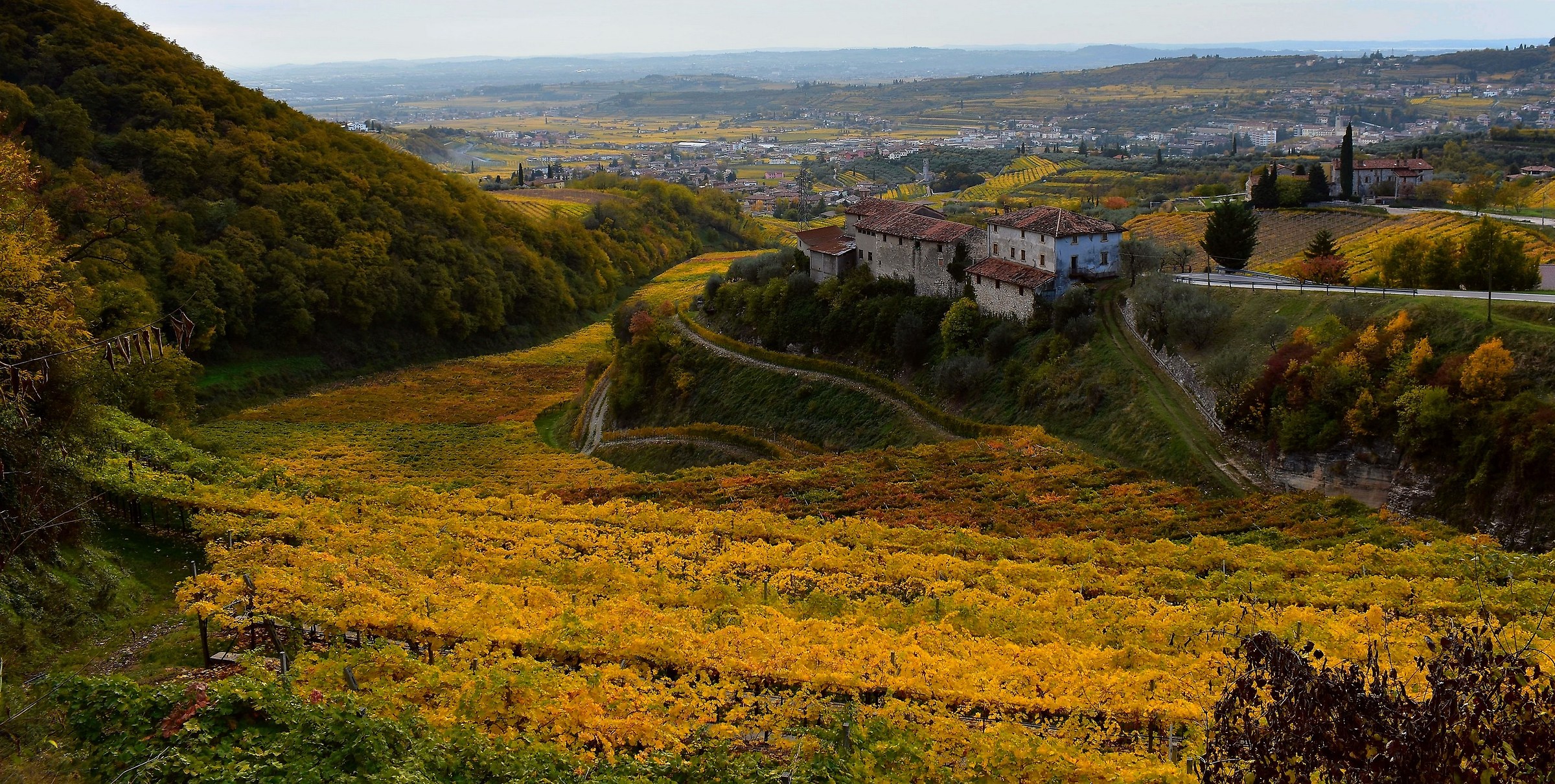 Autumn in Valpolicella