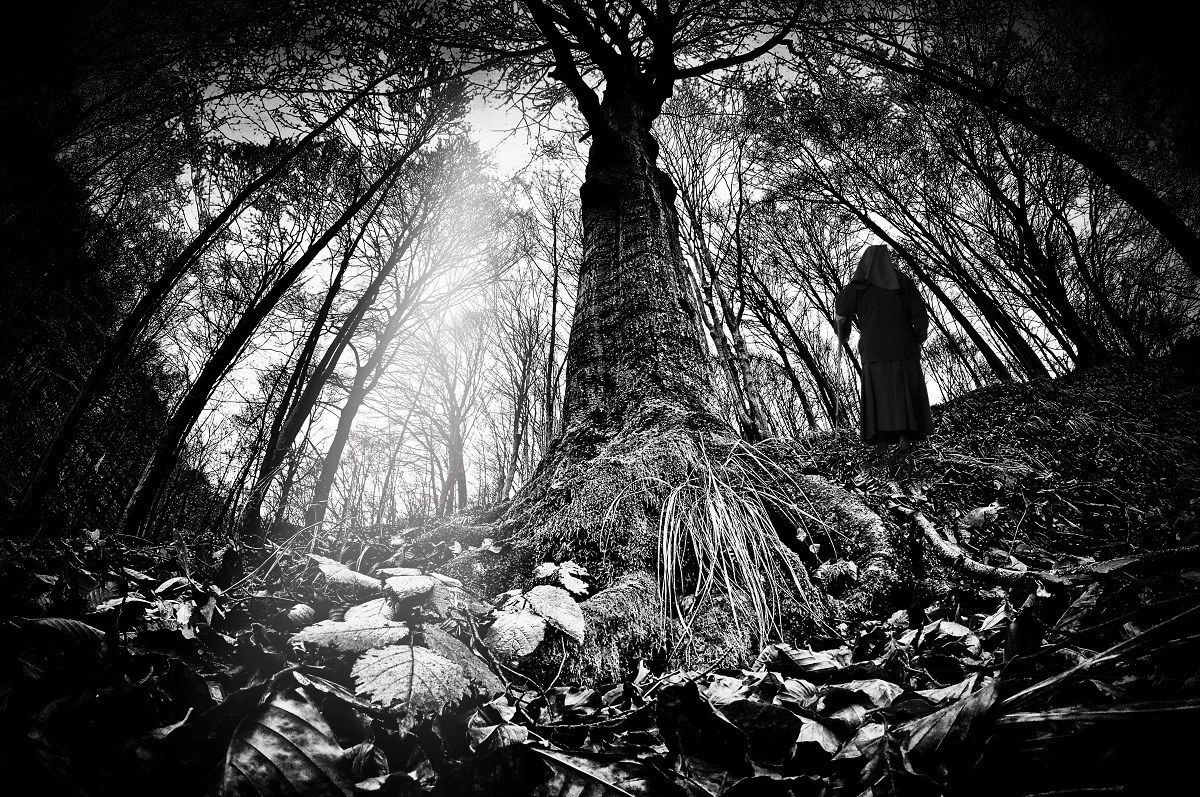 the dark side of the wood