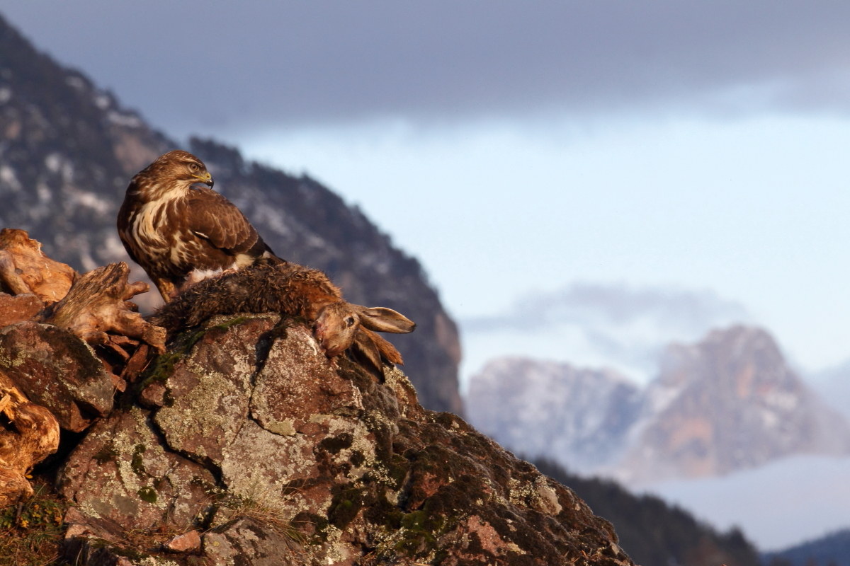 today a fruitful day