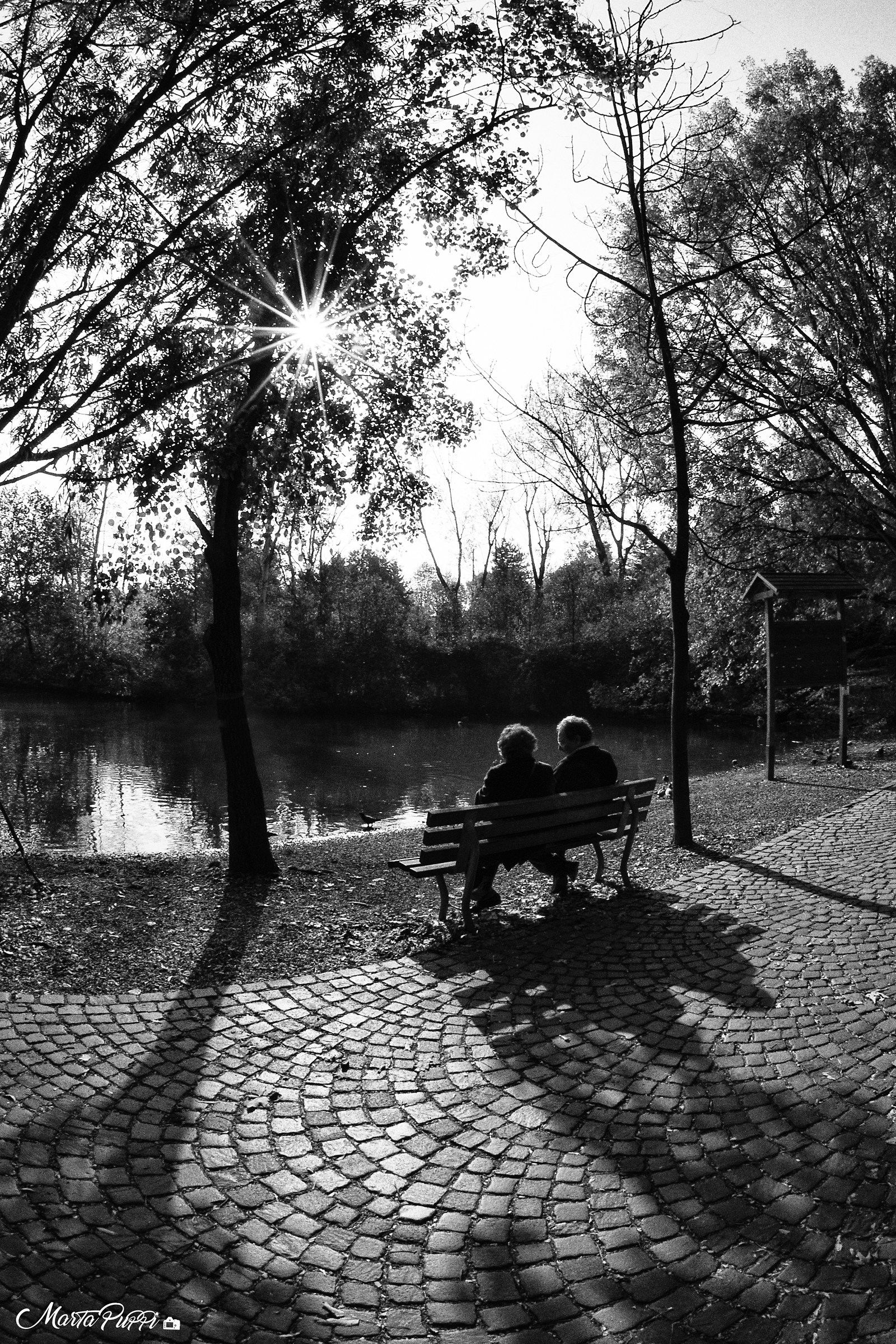 Raccontami di un giorno perfetto