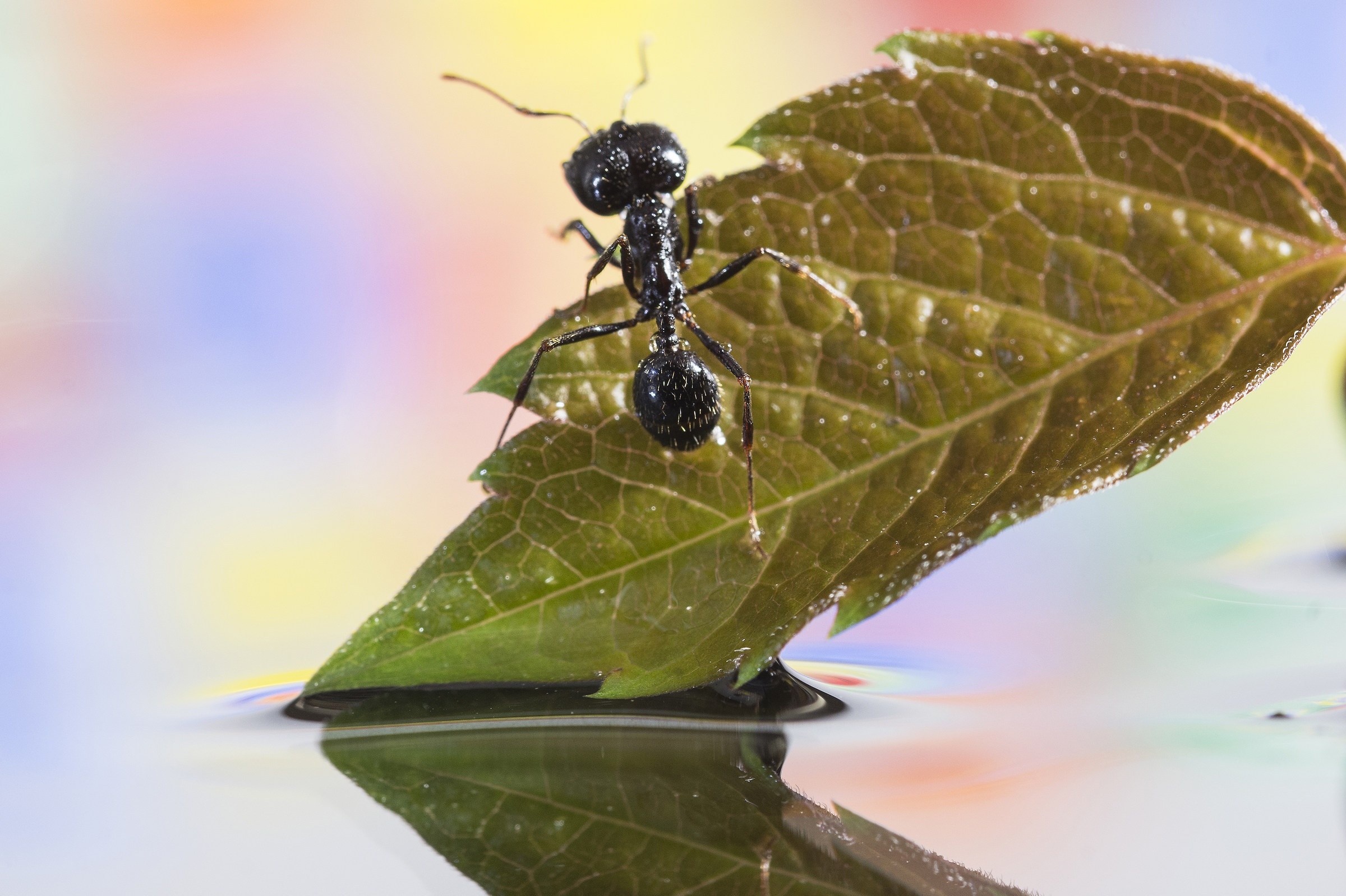 you start working ... it's dawn!