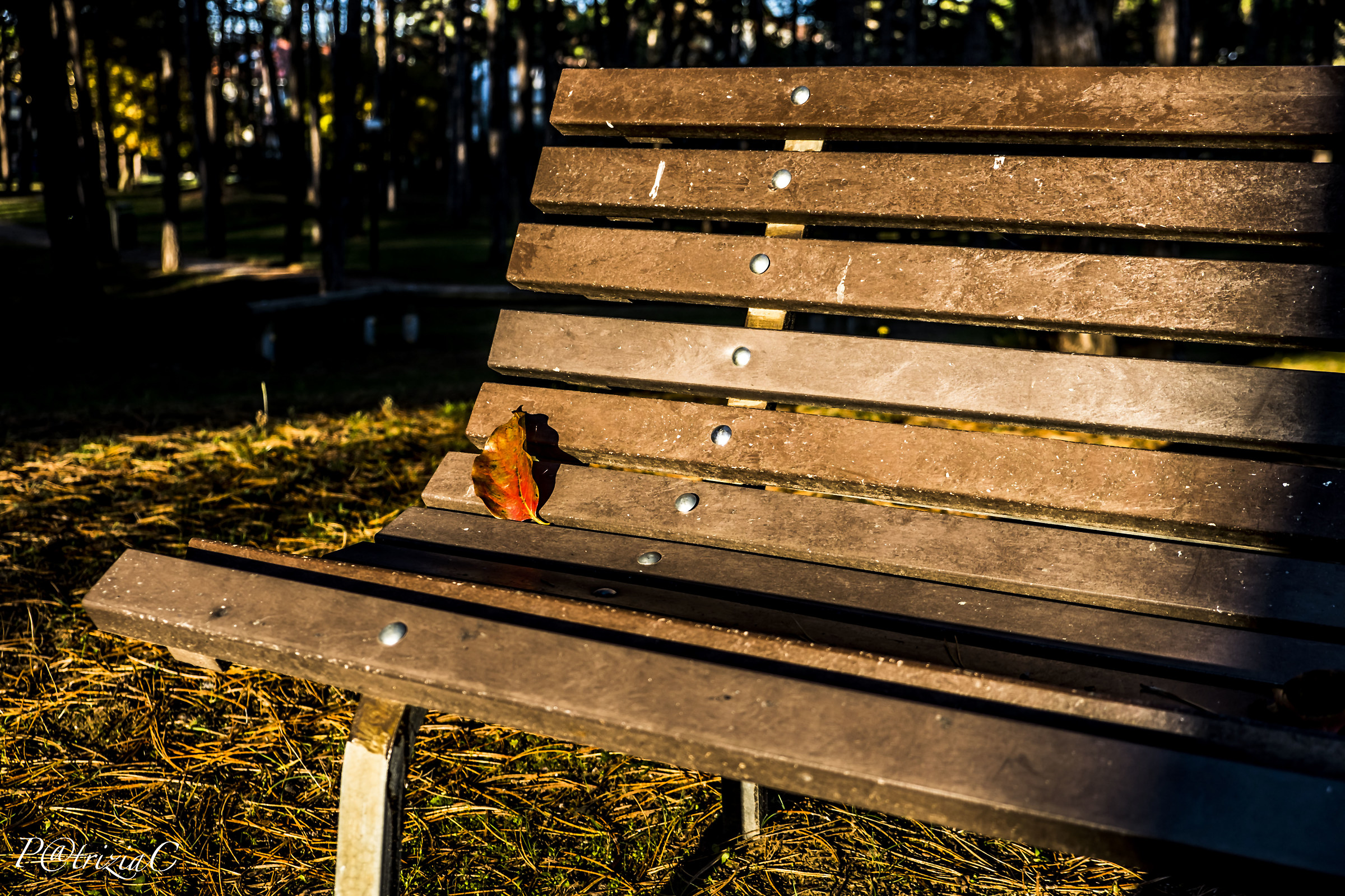 ...  a u t u m n ... (1)