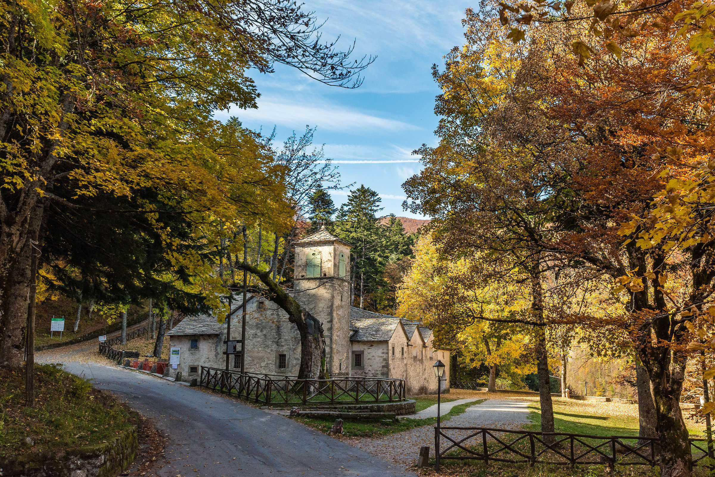 sanctuary of the maple madonna