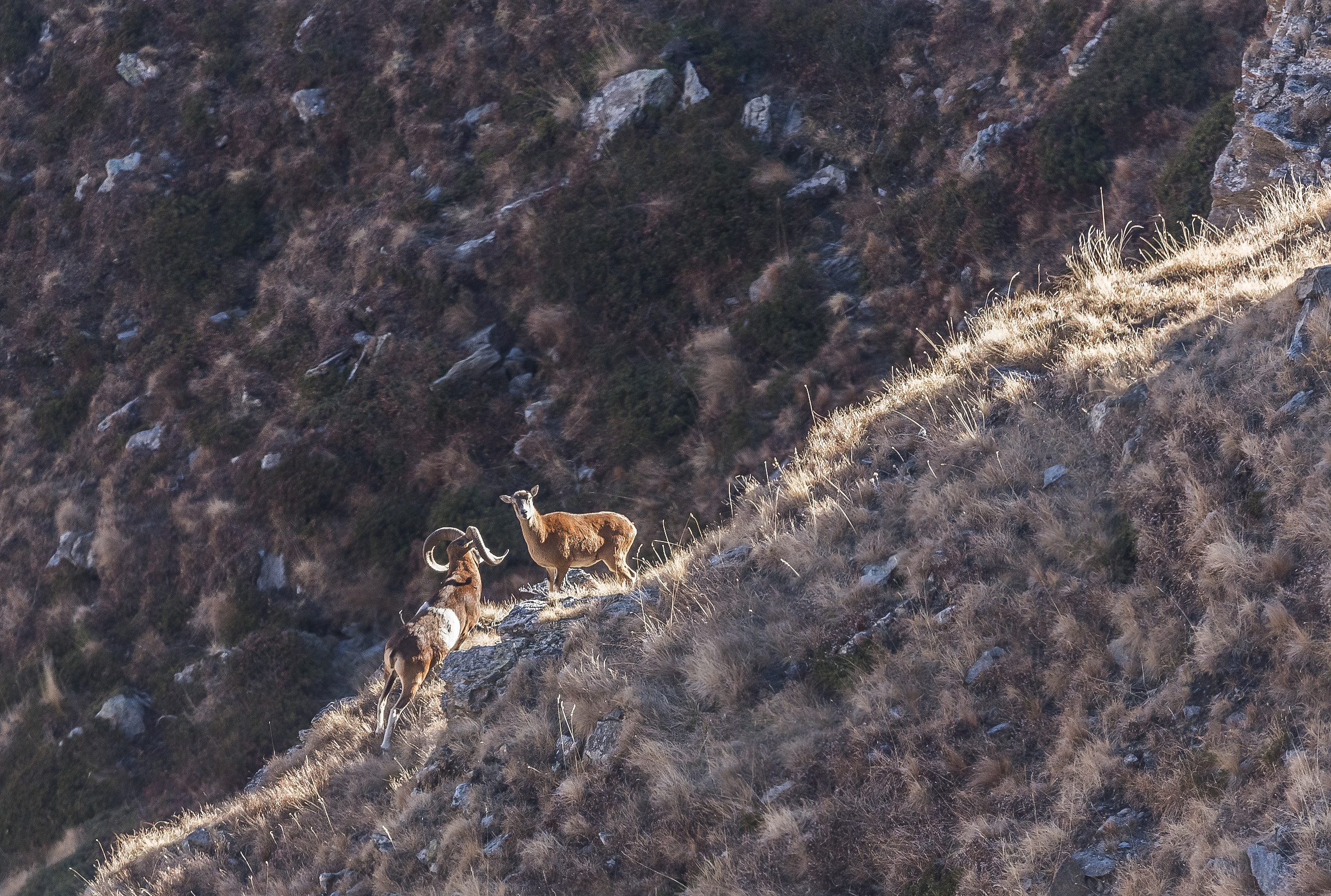 ...caro...ci stanno guardando..