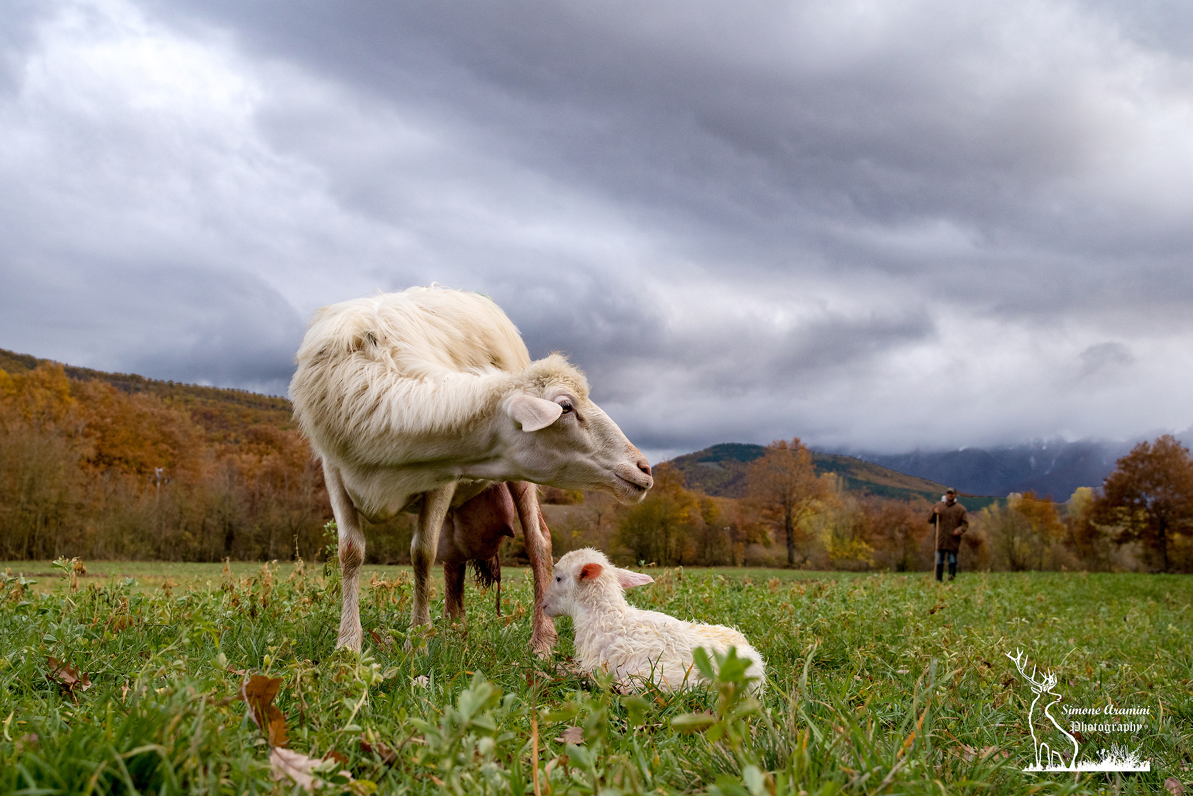 Born under a stormy sky