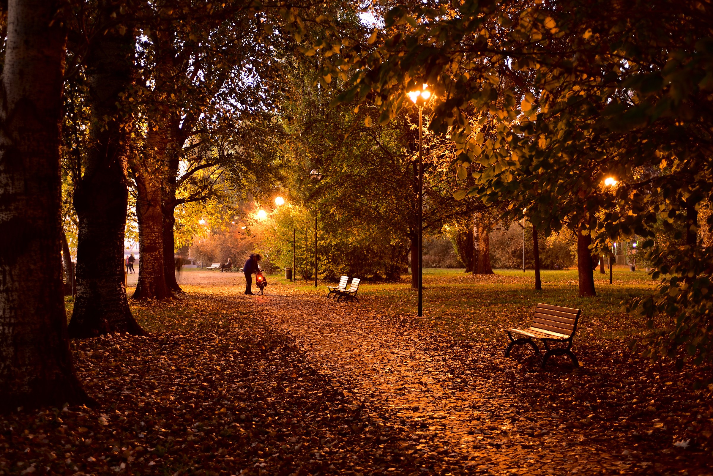 Luminanza autunnale.