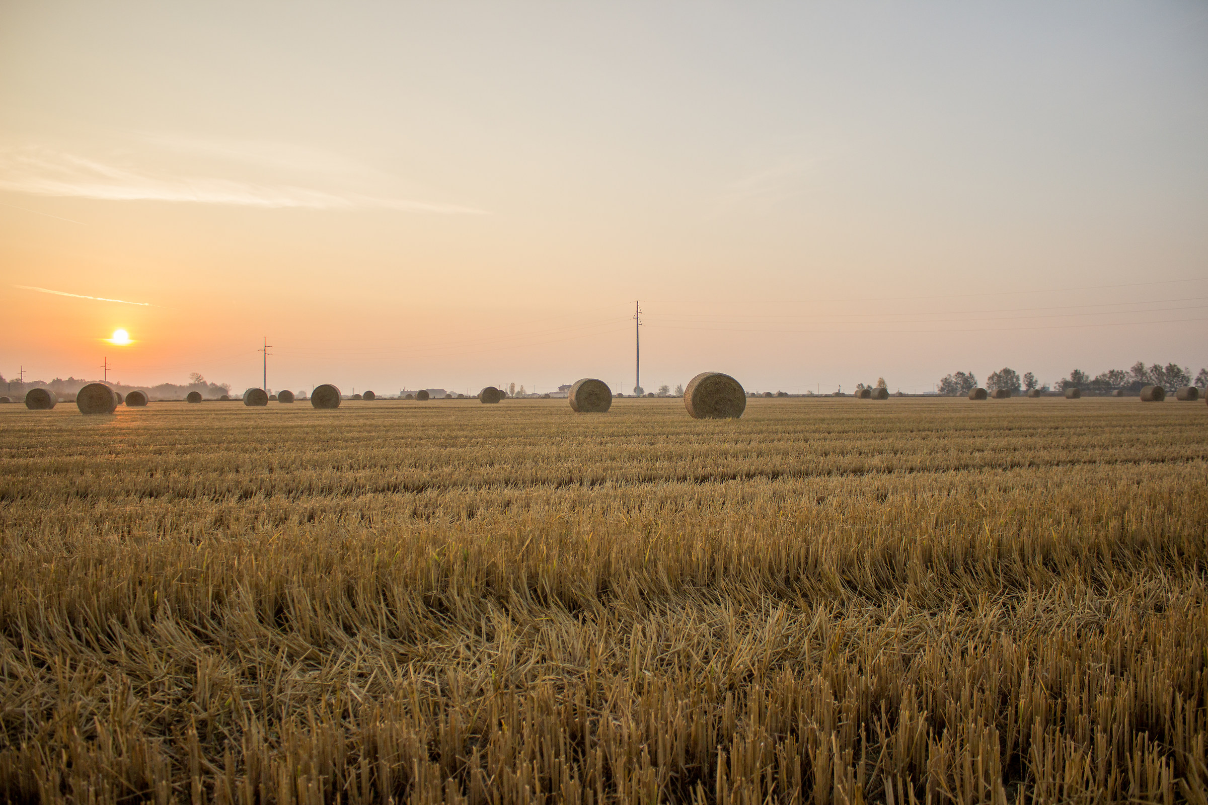 Alba in campo2