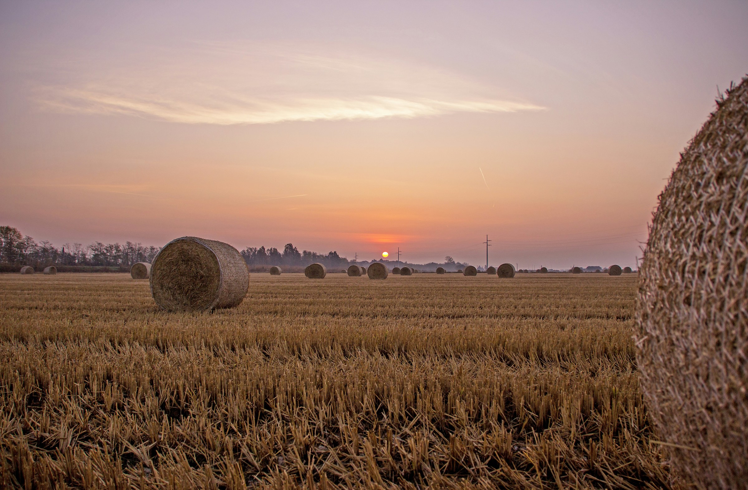 Alba in campo