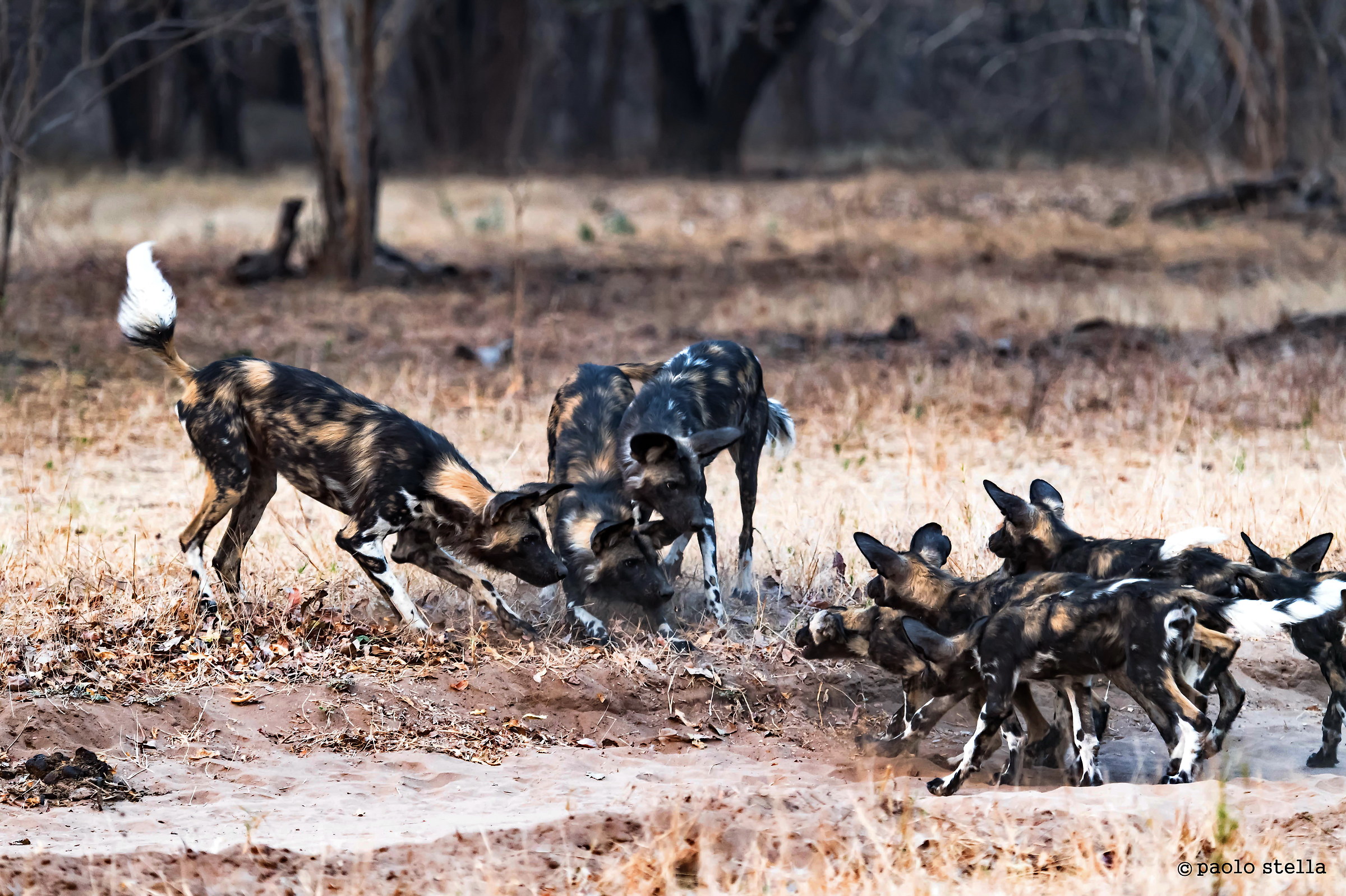 grandi contro piccoli?