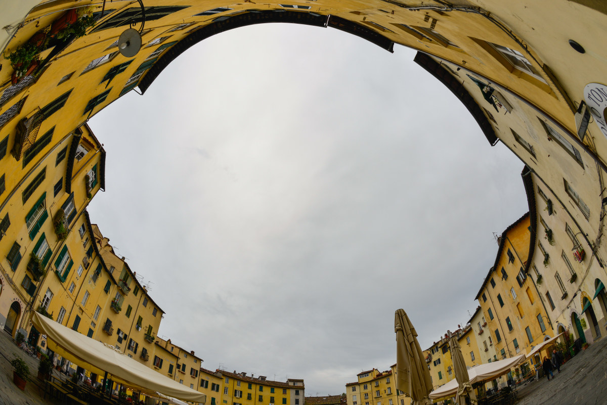 Piazza anfiteatro. Lucca