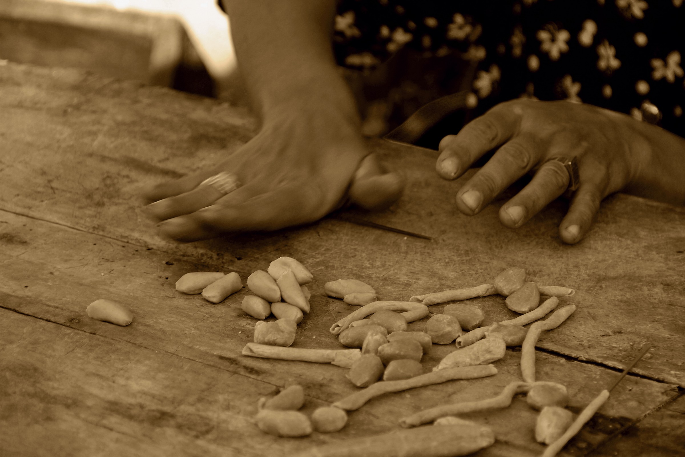 the art of hand made pasta