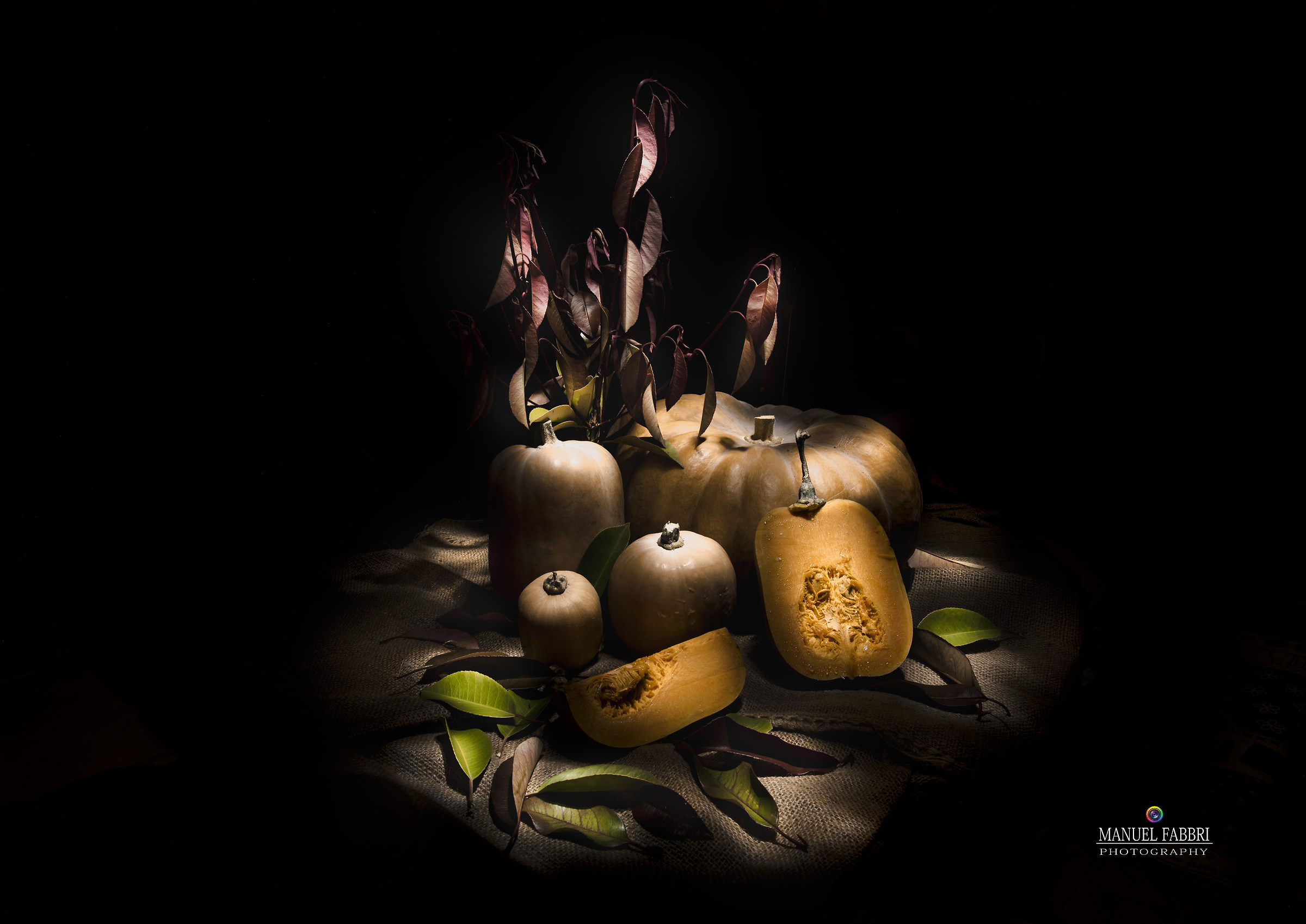 La famiglia delle zucche