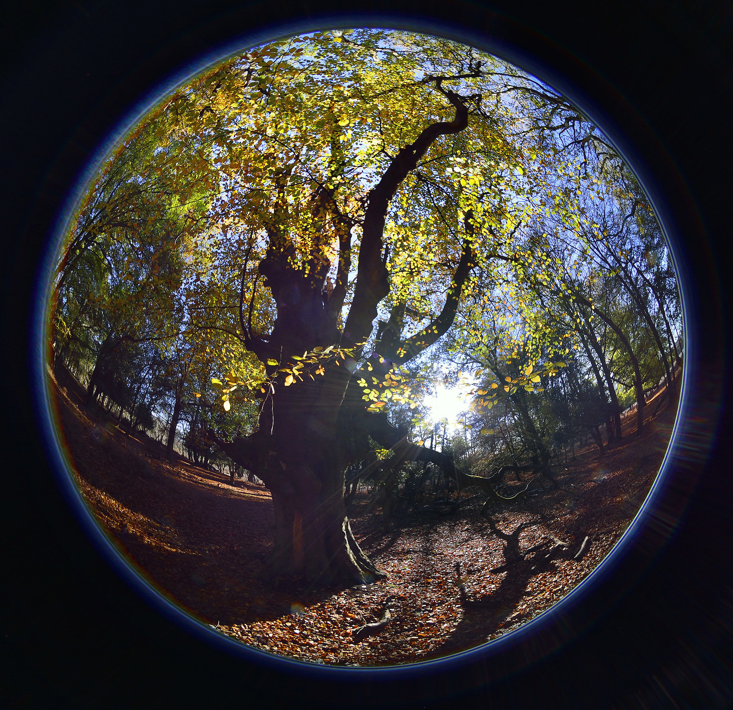 Our Precious Blue Planet