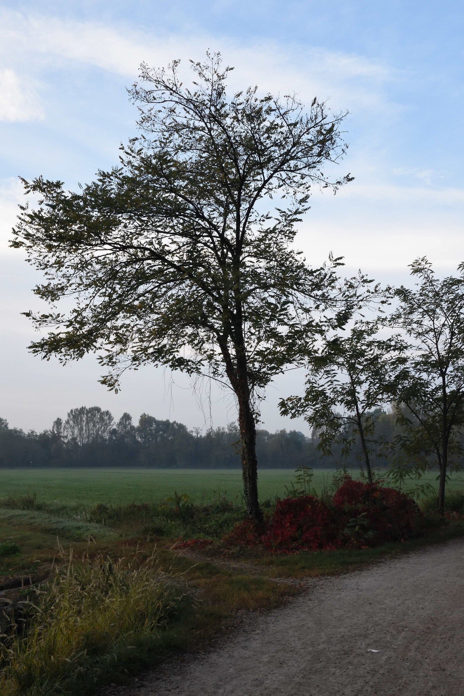 Waiting for the taxi