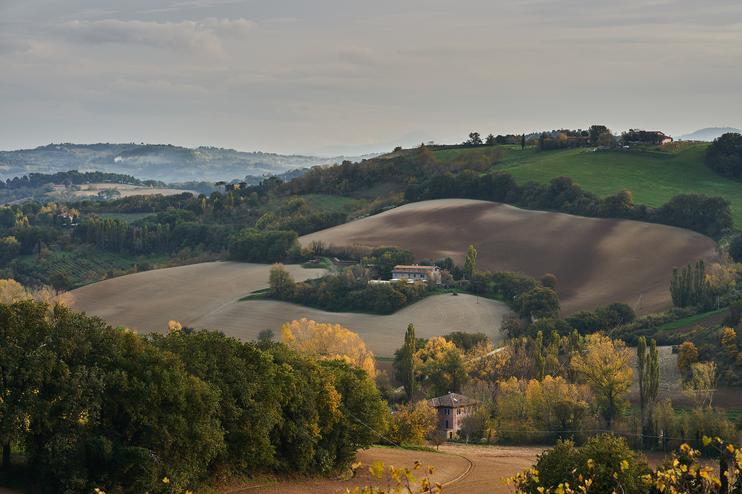 Pesaro Hills