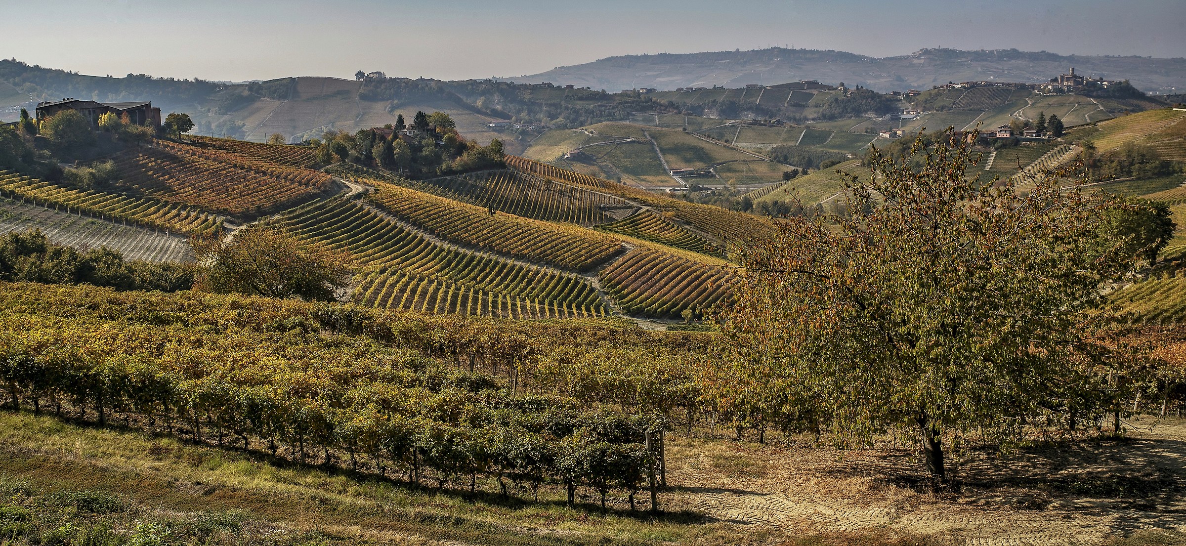 Autumn in the Langhe 2