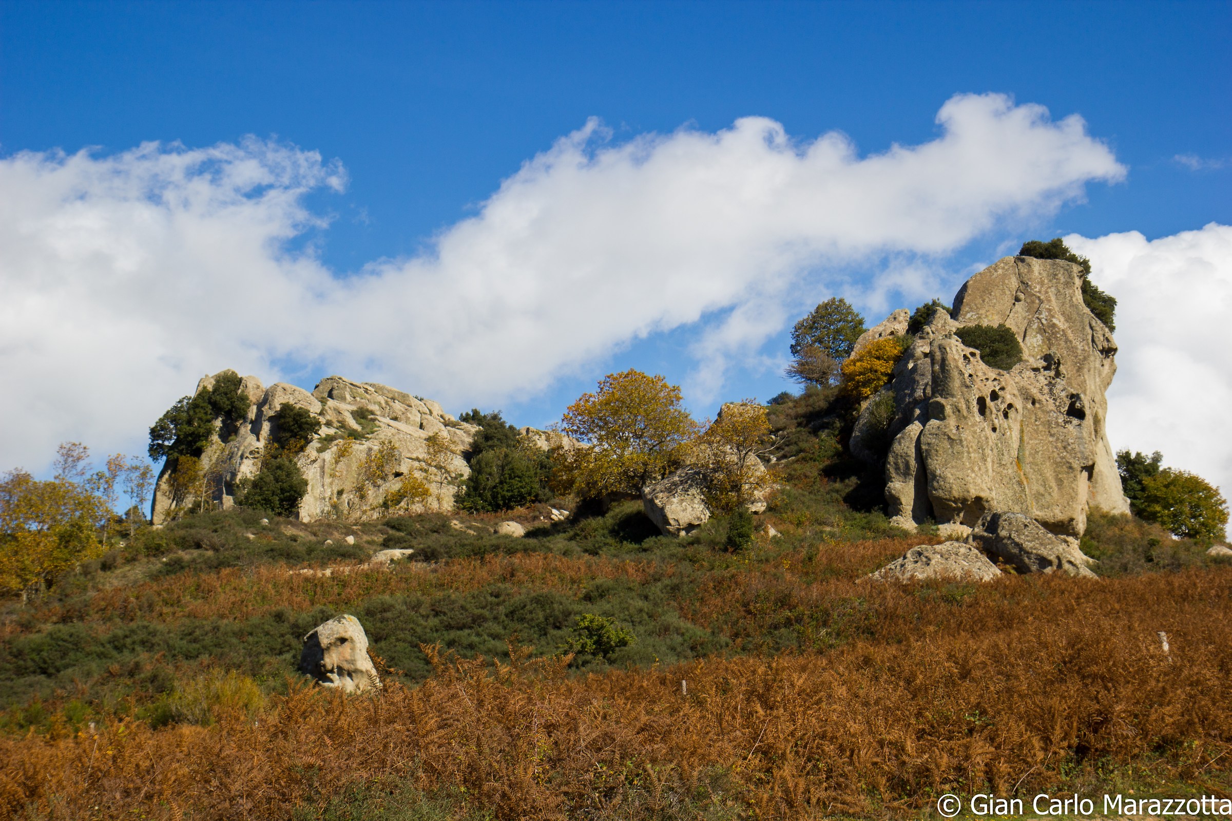 Multilites Argimusco