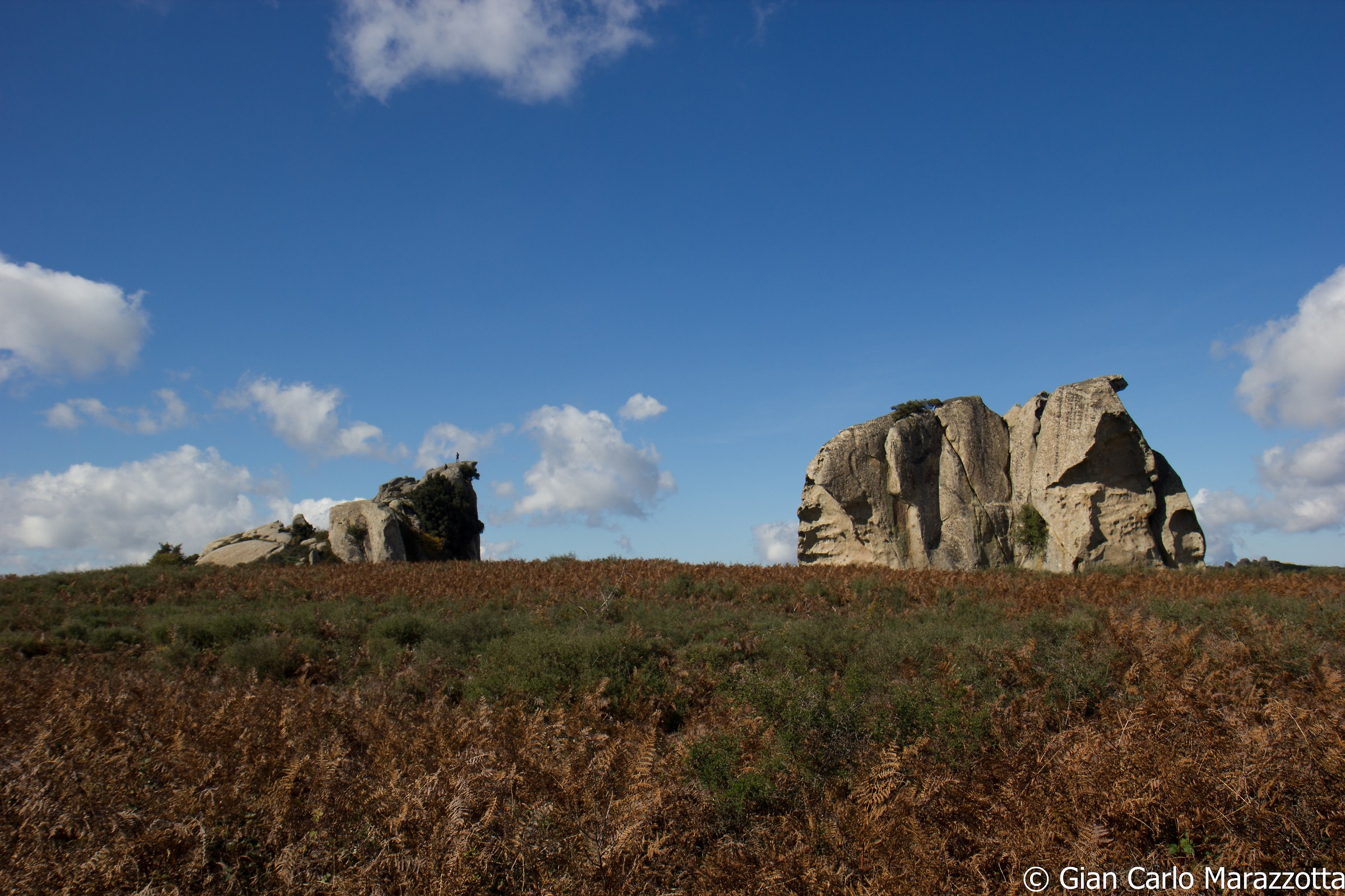 Multilites Argimusco