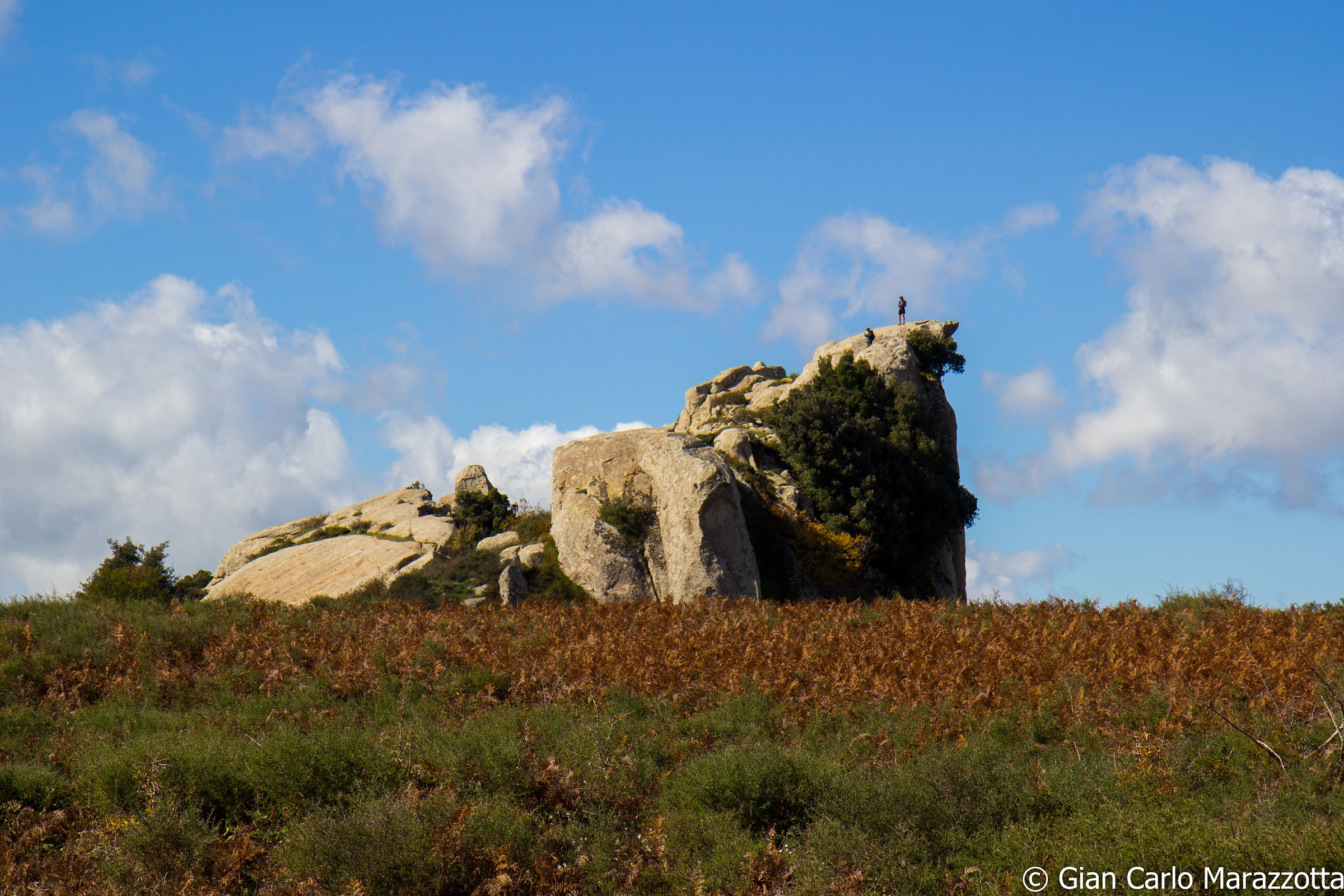 Multilites Argimusco