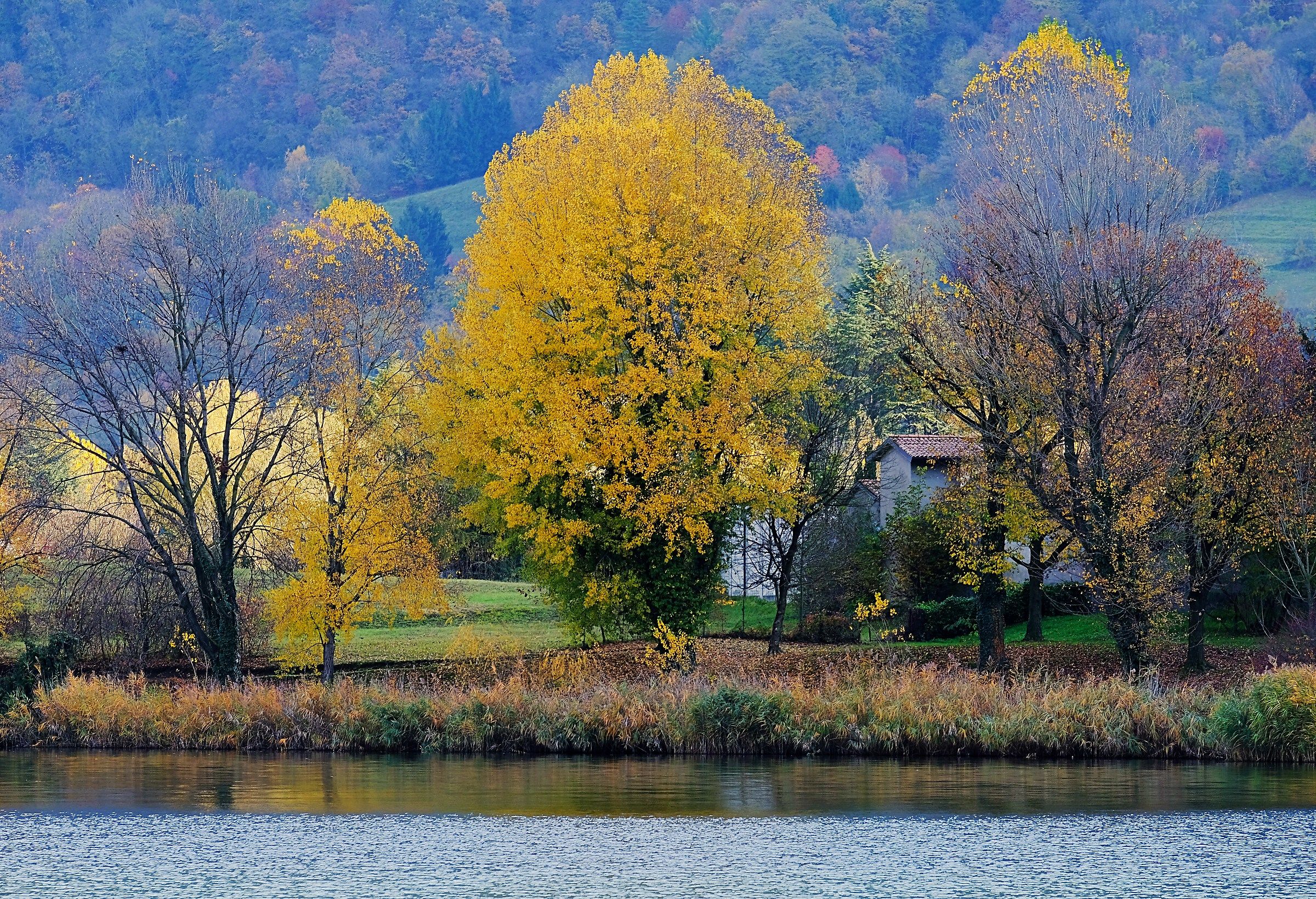 autumn at the lake
