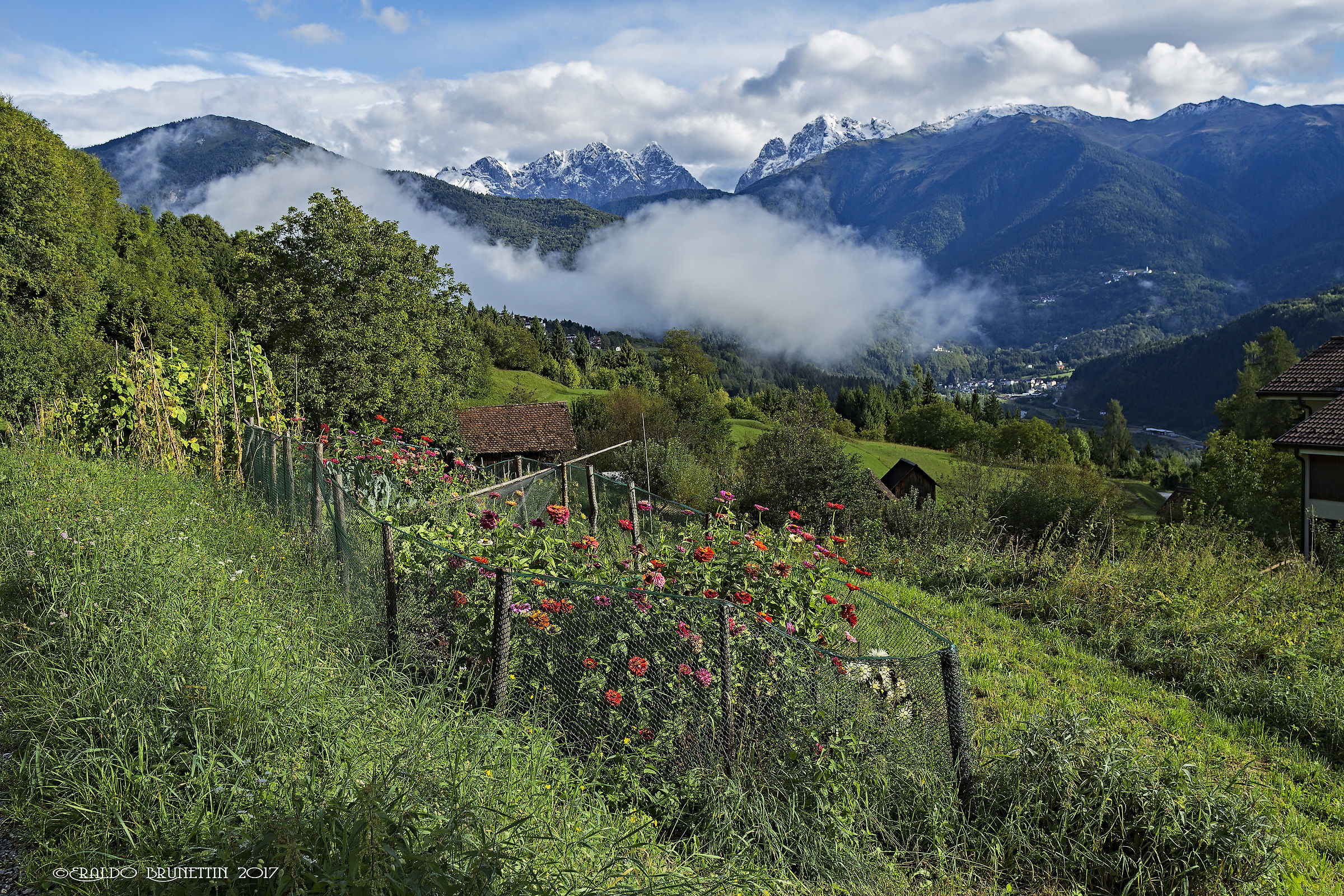 Panorama from Carnia (ud)