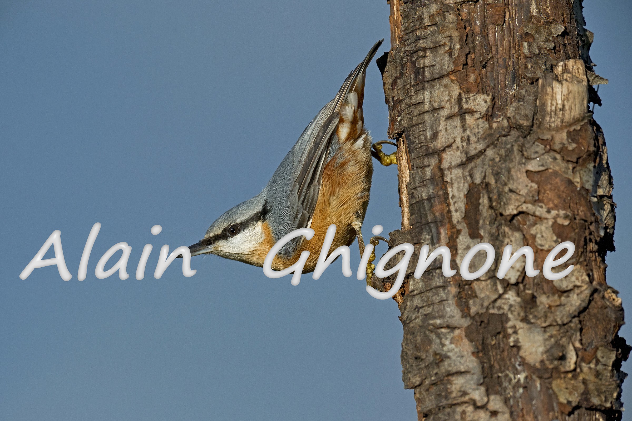 il mio primo muratore...