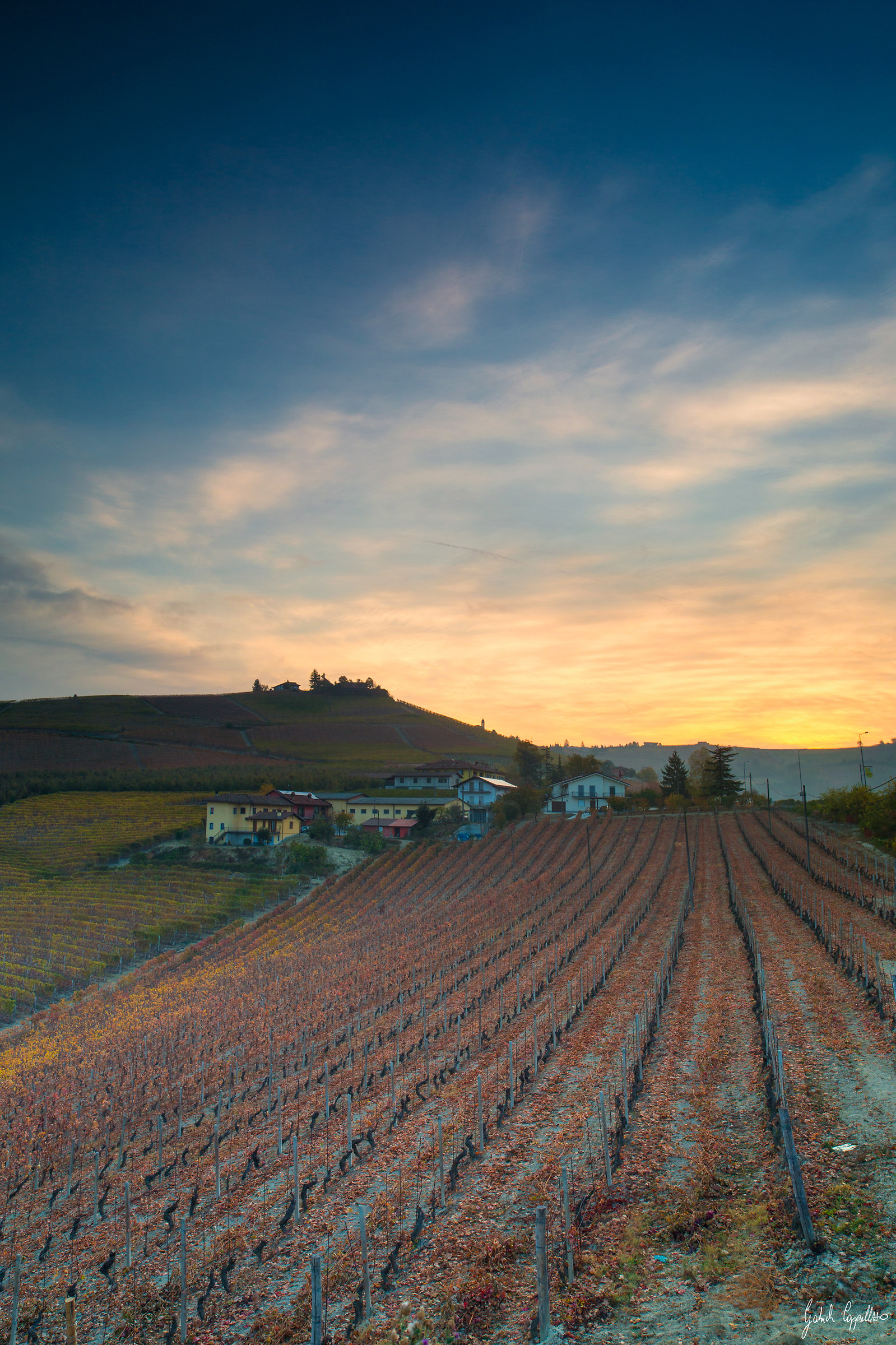 Le prime luci del giorno sugli ultimi colori dell'anno