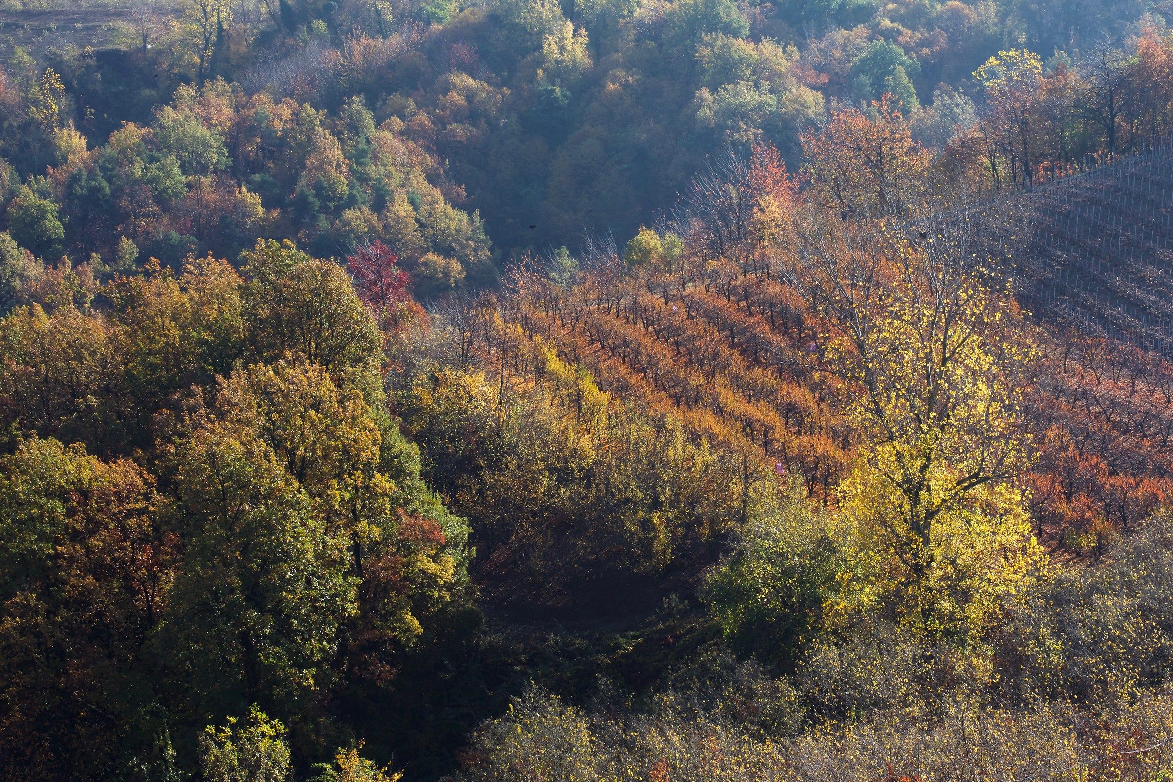 Novembre, ultimi colori