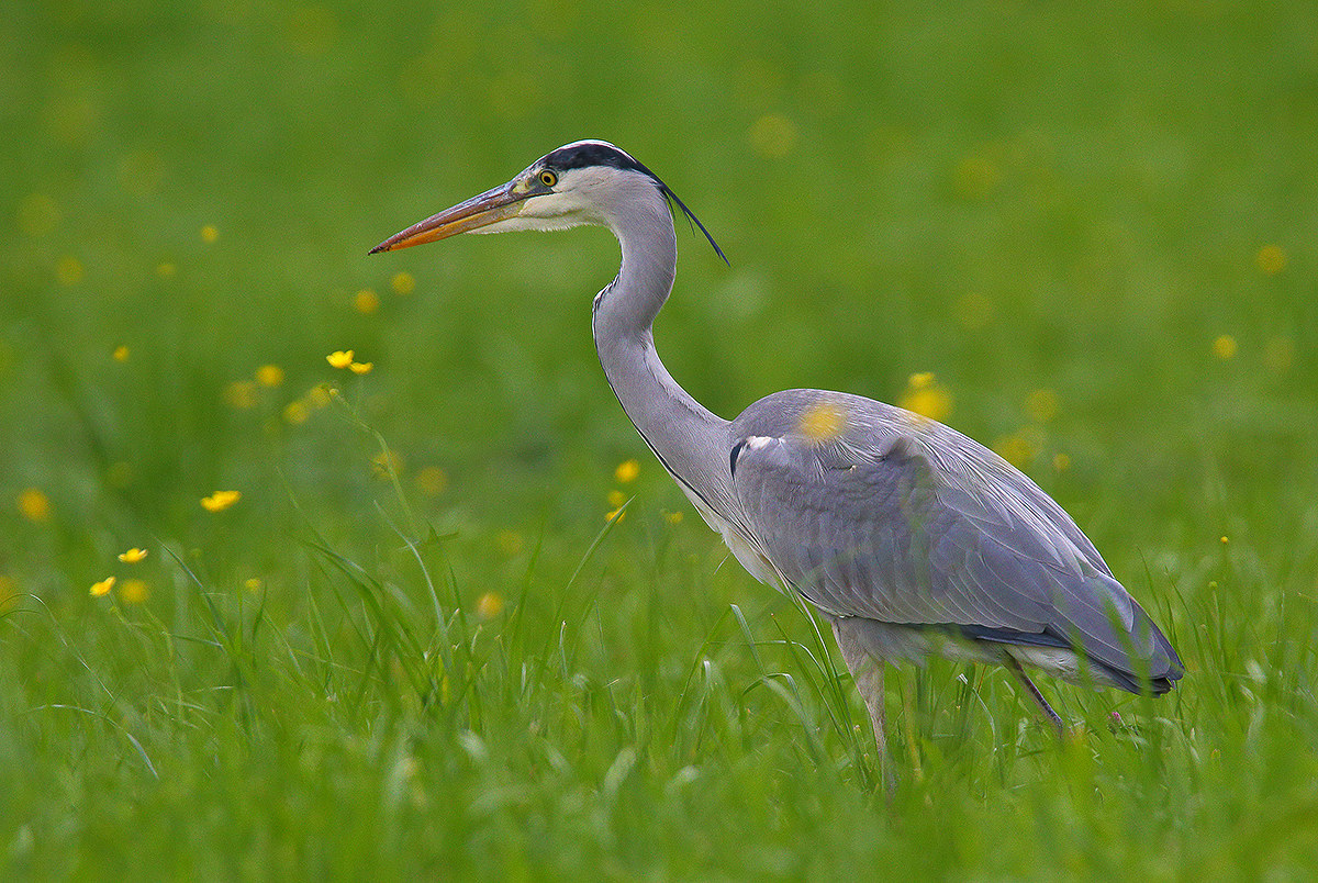 snapshot of autumn ..... autumn?