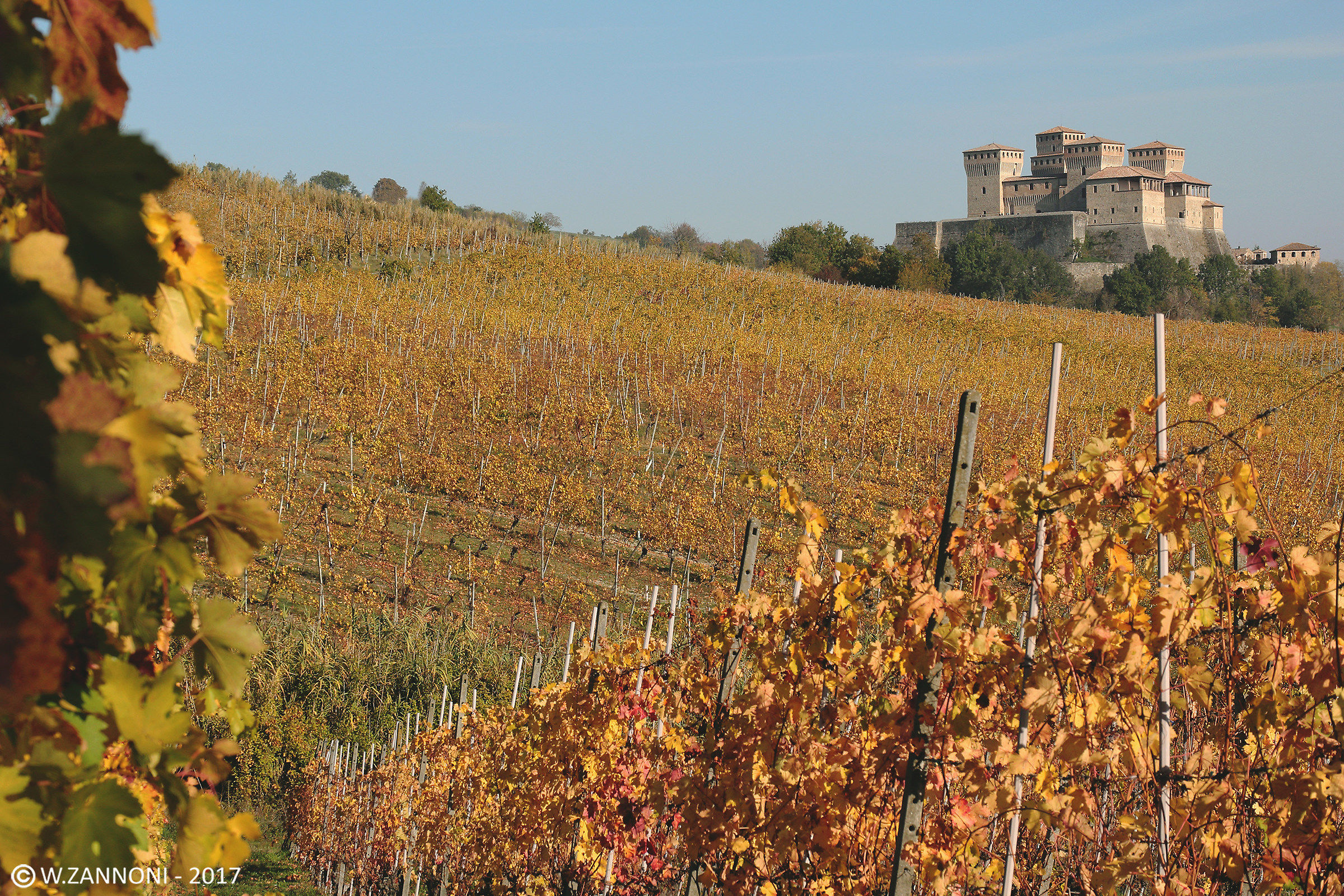 Autumn plots in Torrechiara